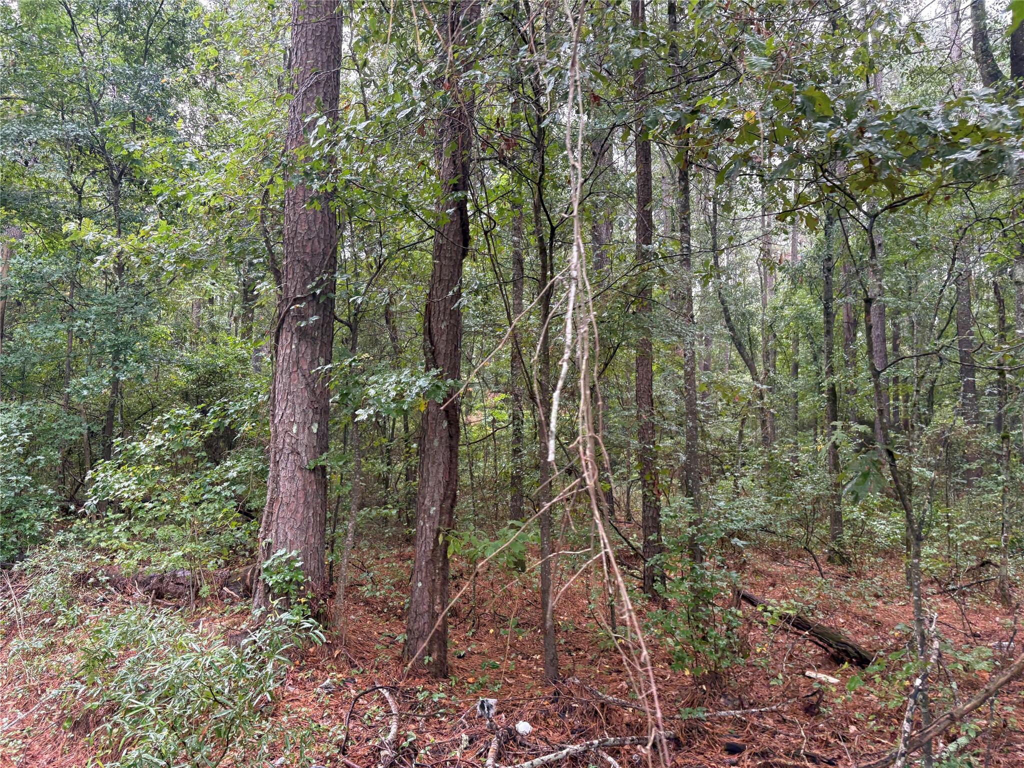 main property photo 10