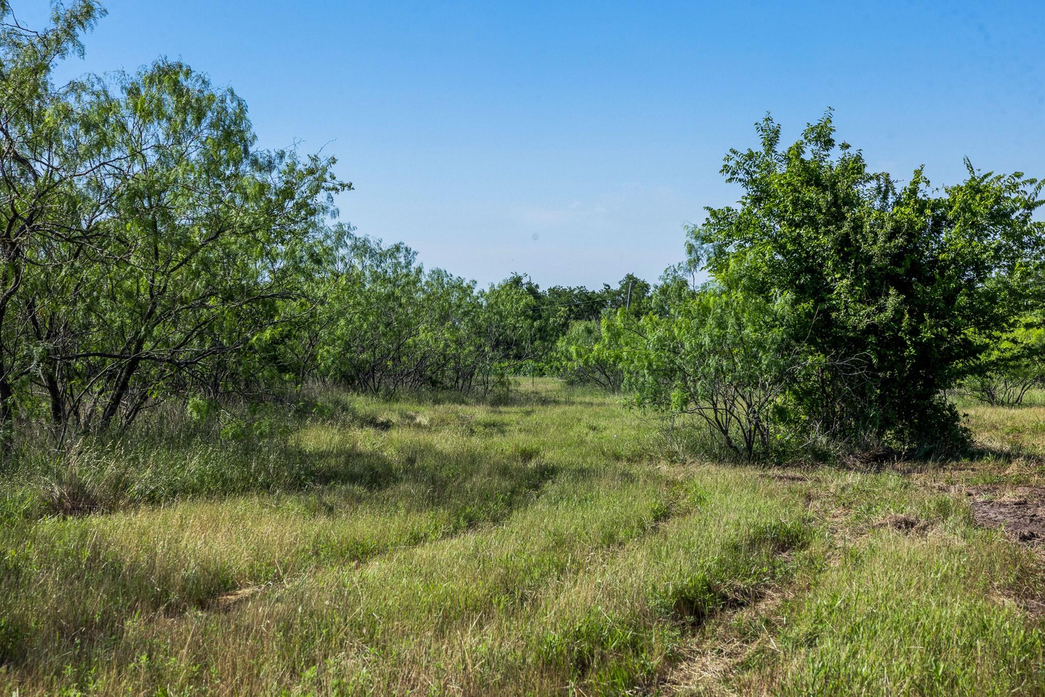 main property photo 12