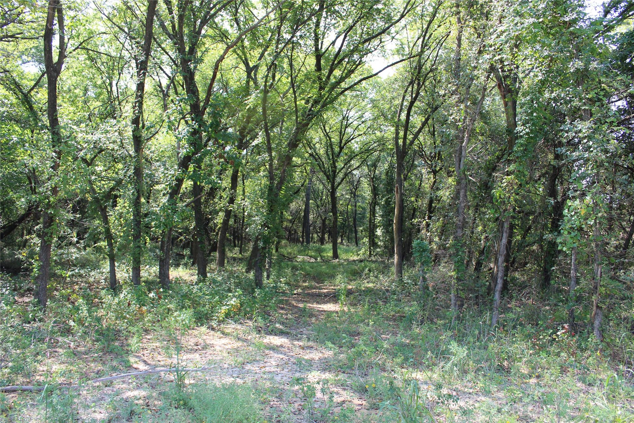 main property photo 12
