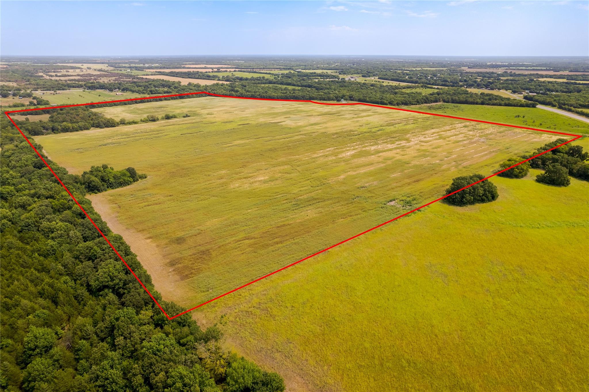 main property photo 5