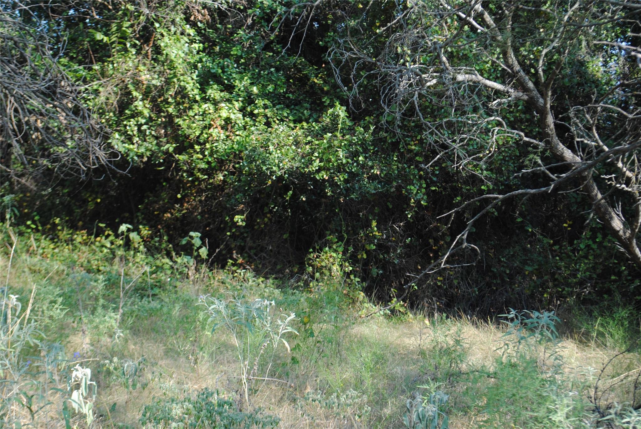 main property photo 10