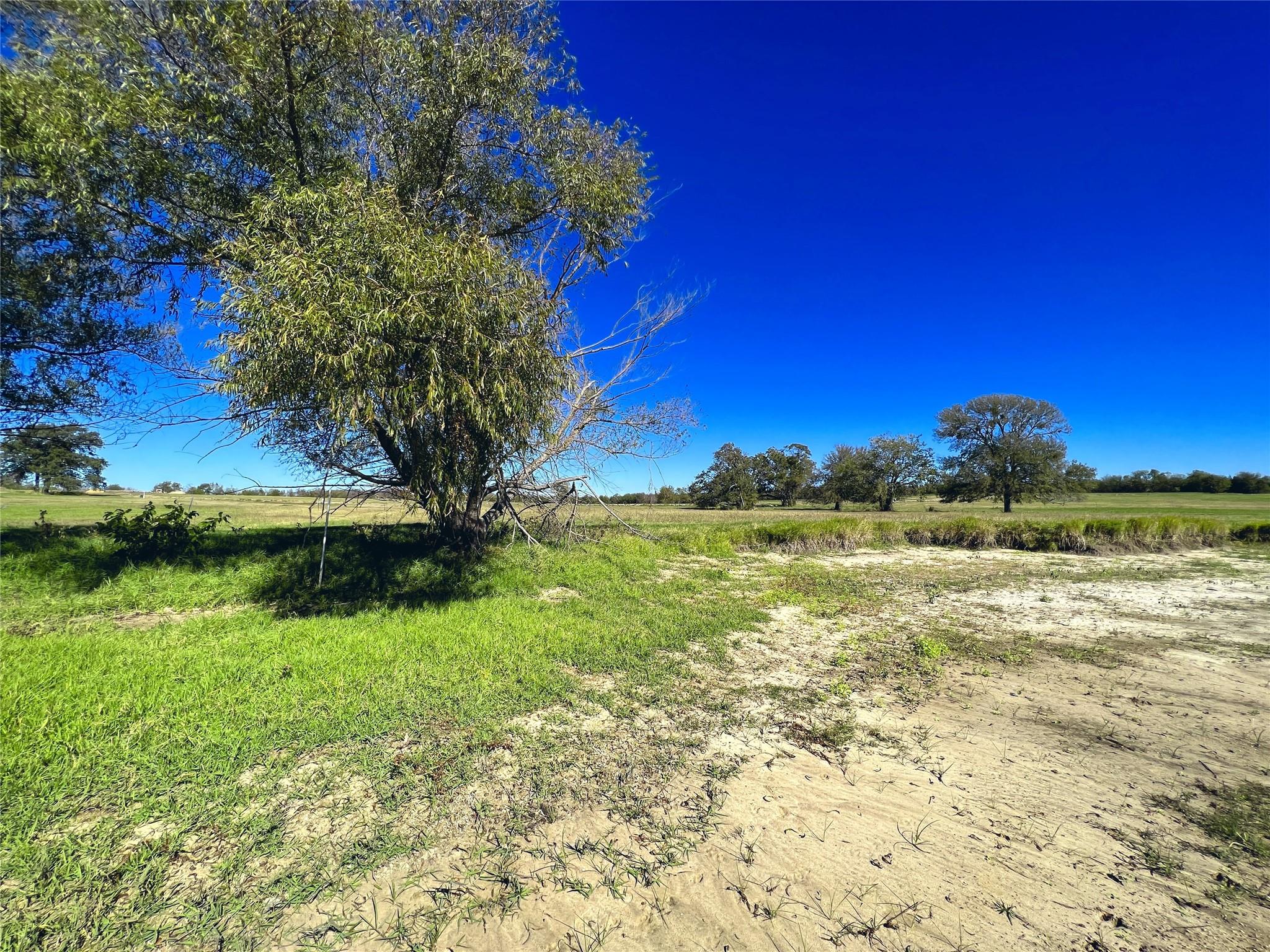 main property photo 36