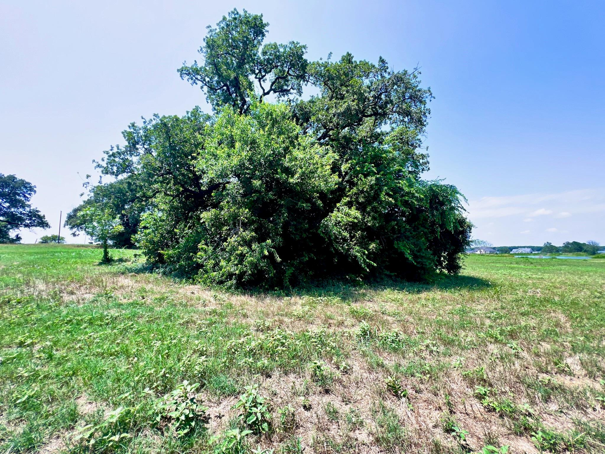 main property photo 15