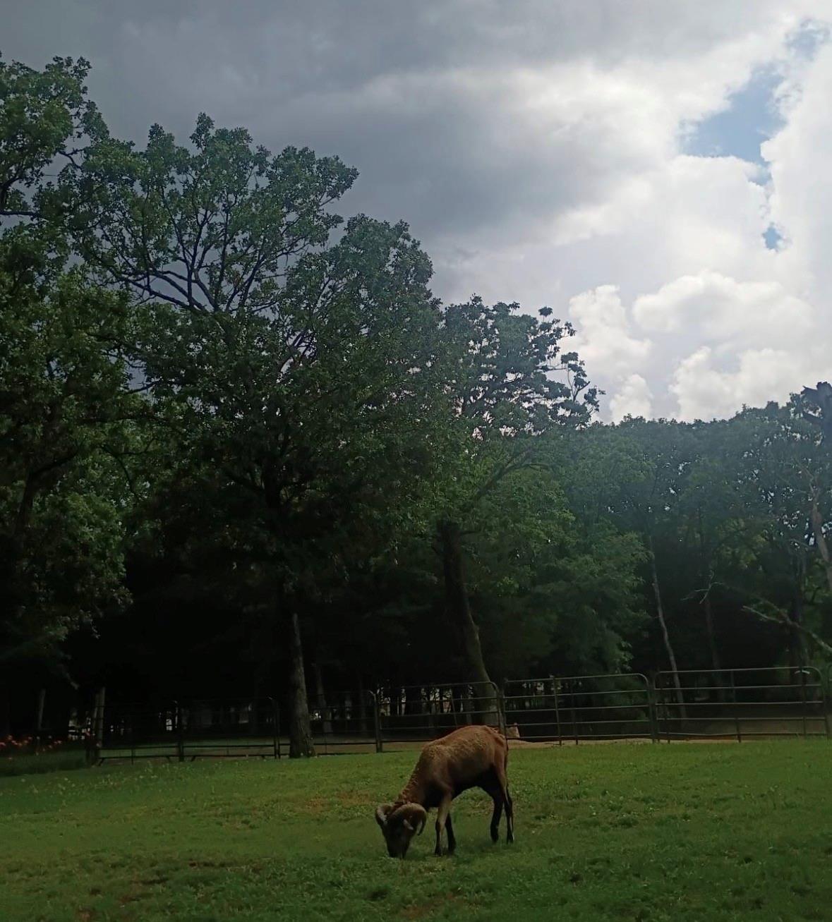 main property photo 33