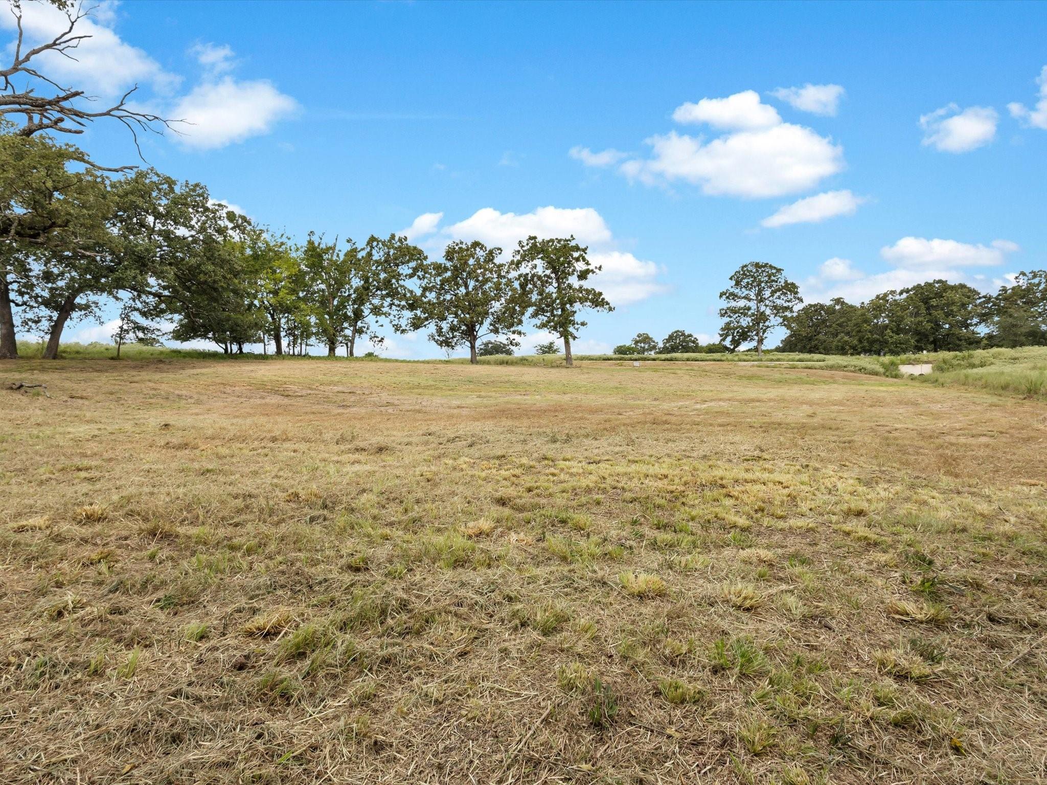 main property photo 10
