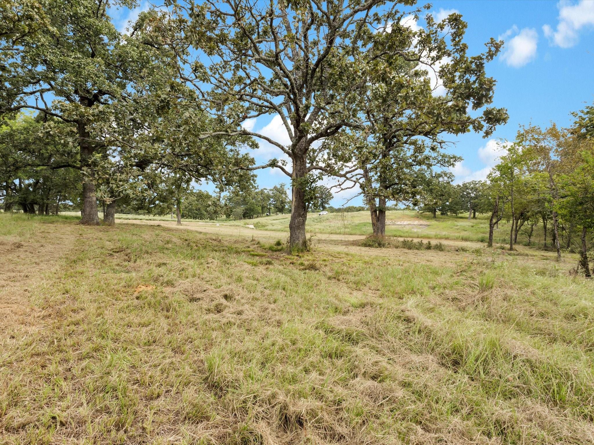 main property photo 11