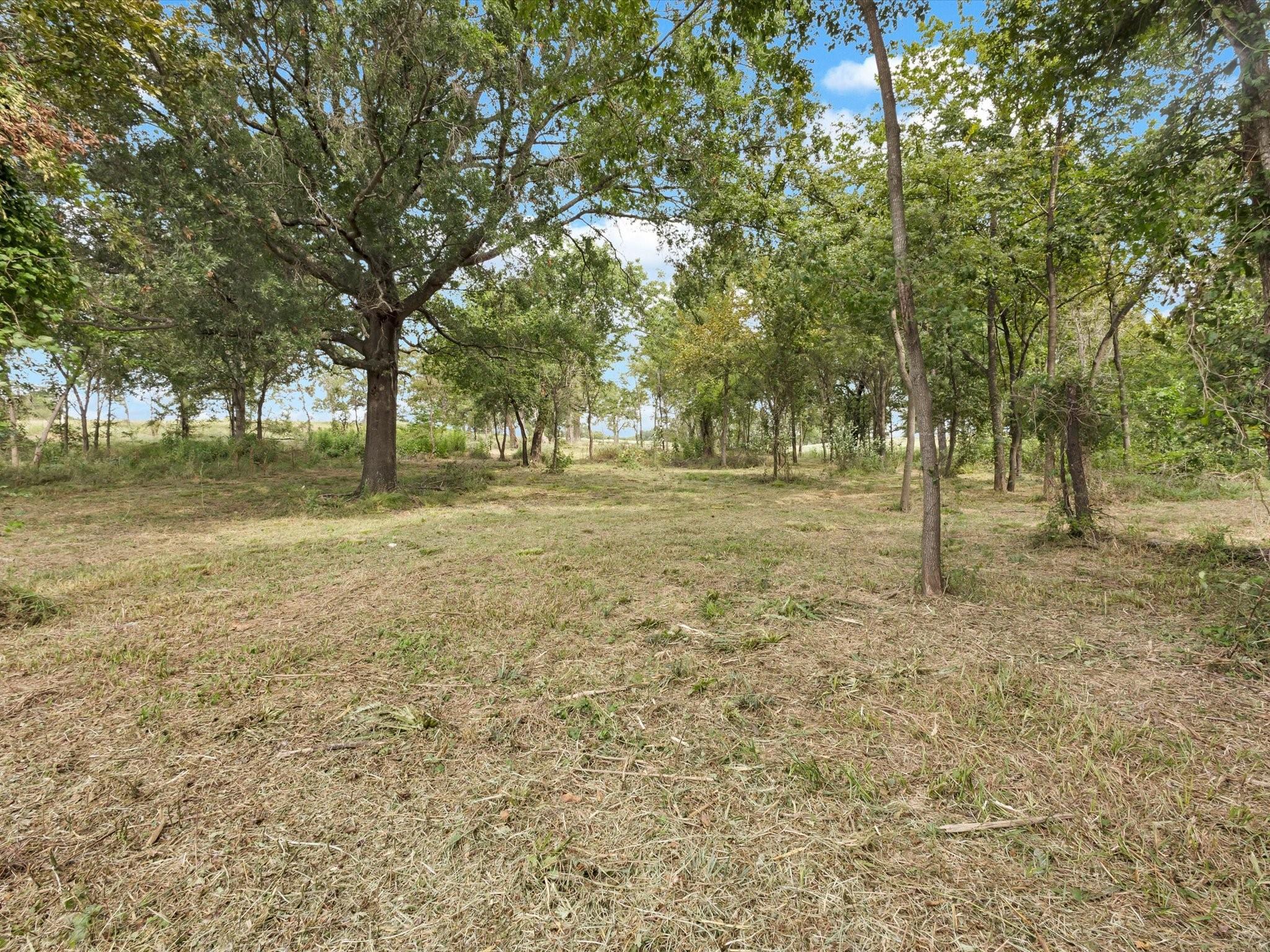 main property photo 14