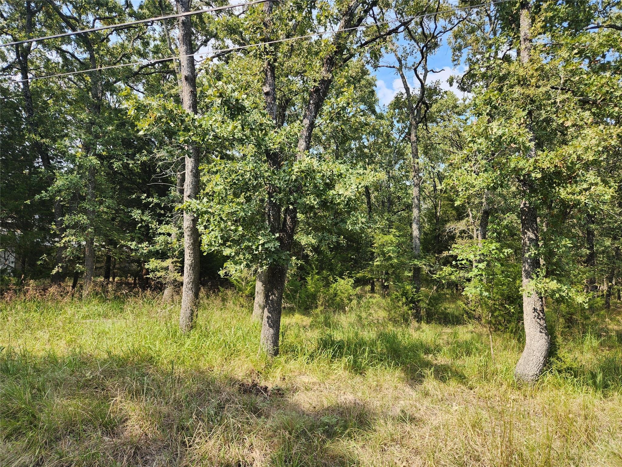 main property photo 7