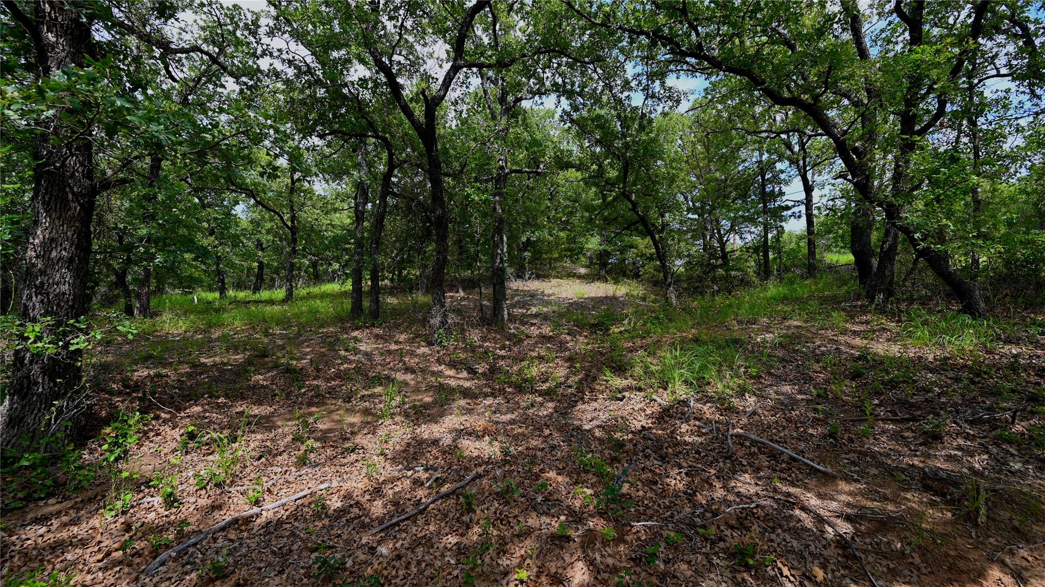 main property photo 19