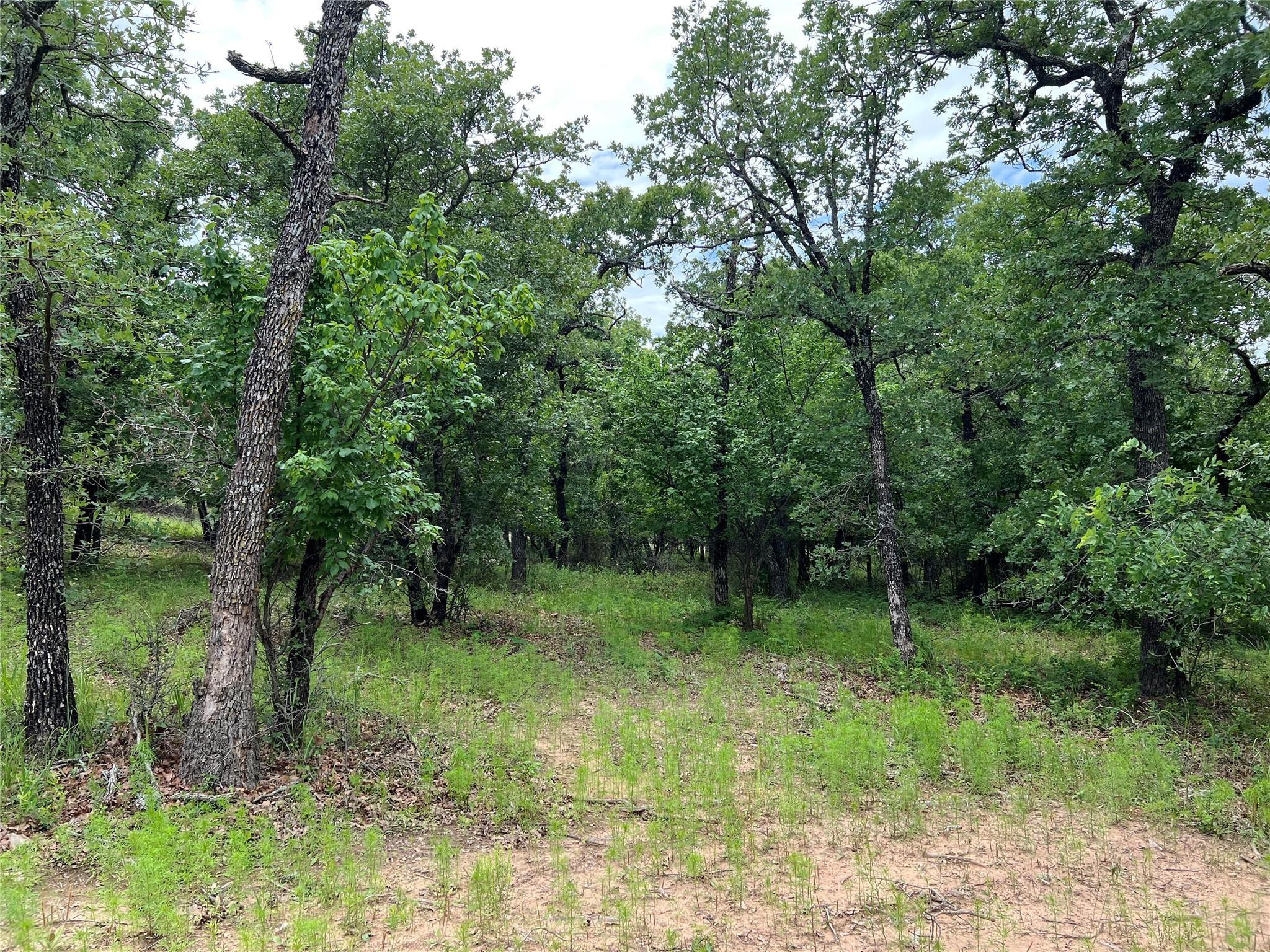 main property photo 24