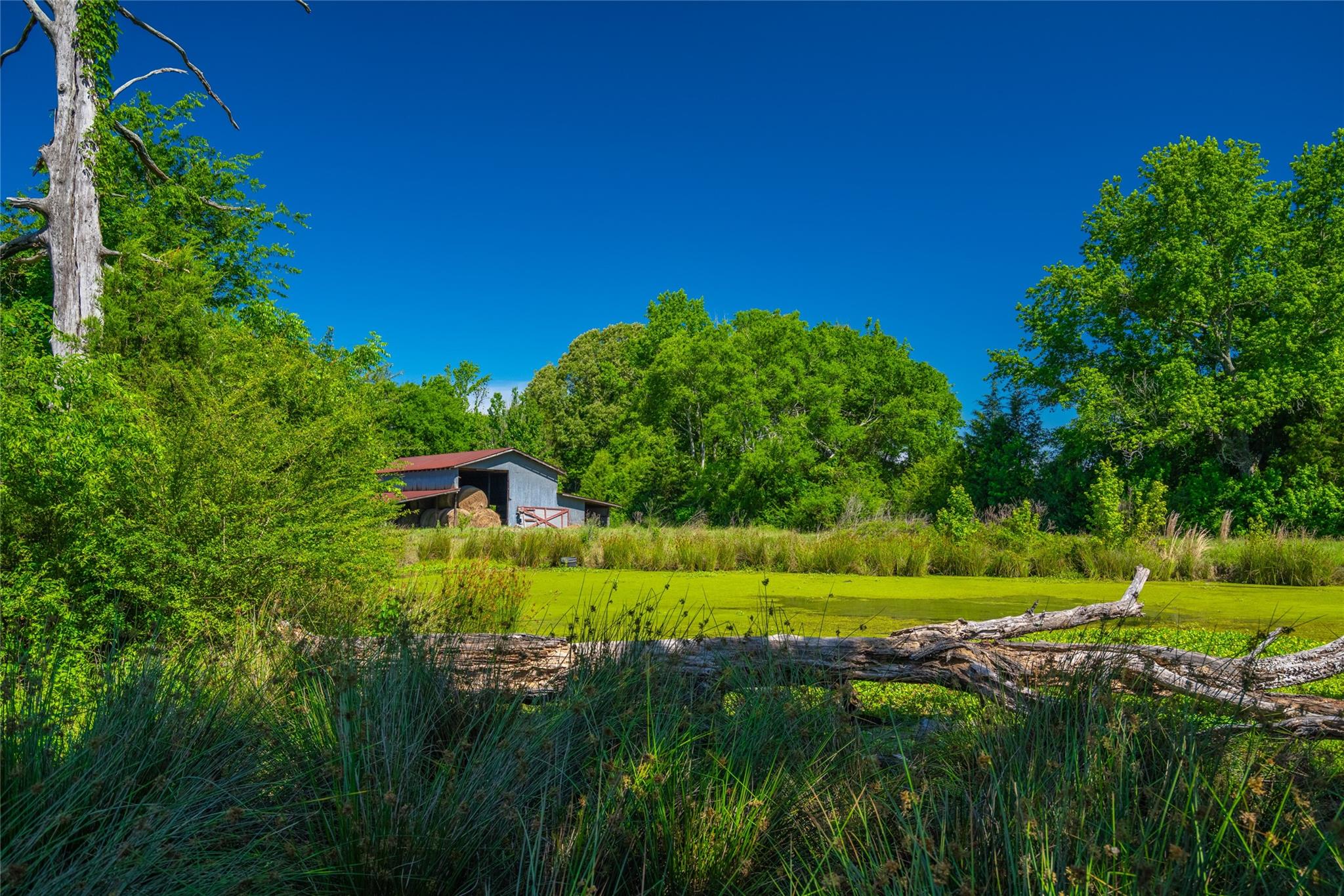 main property photo 12