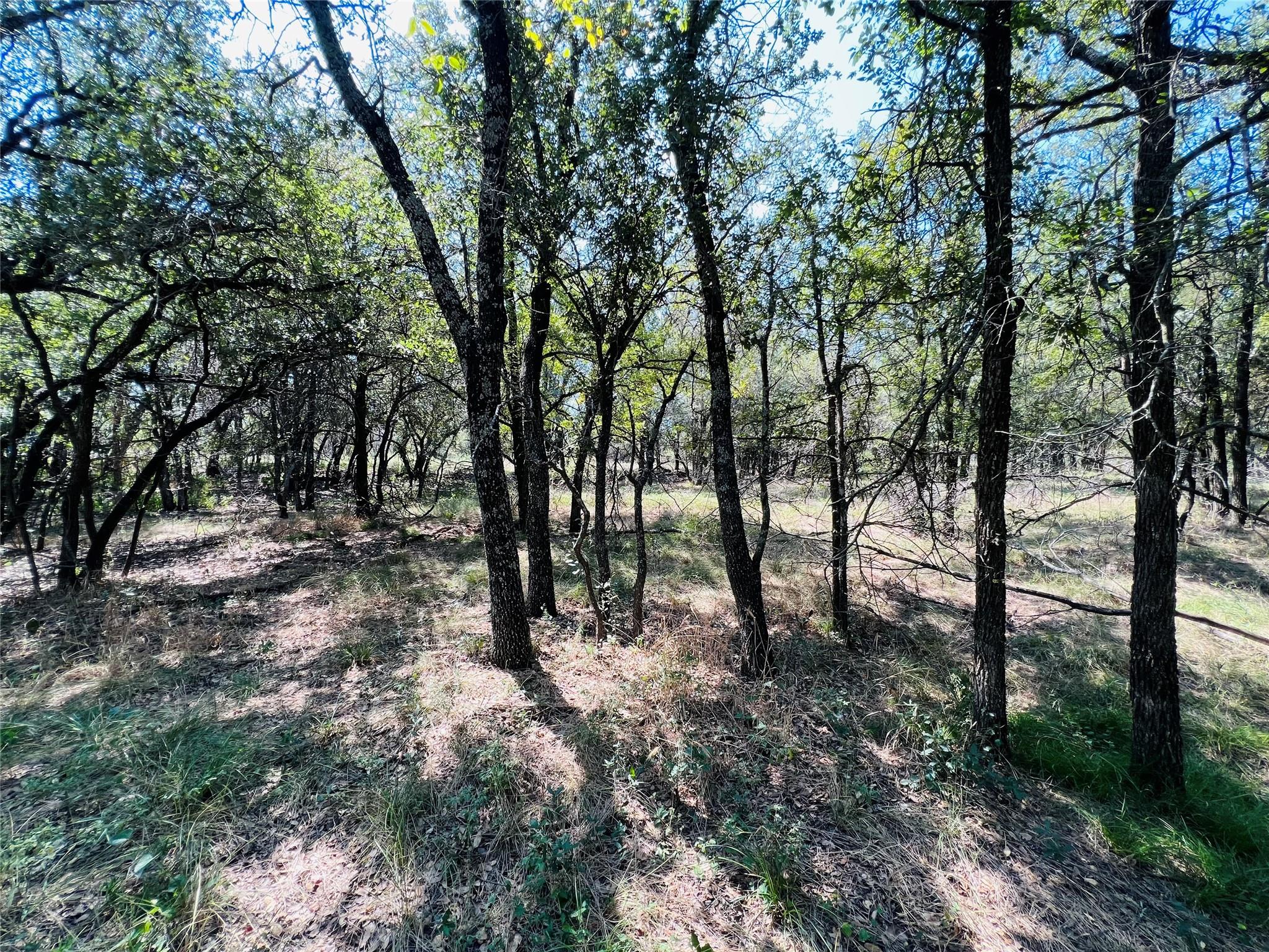 main property photo 25