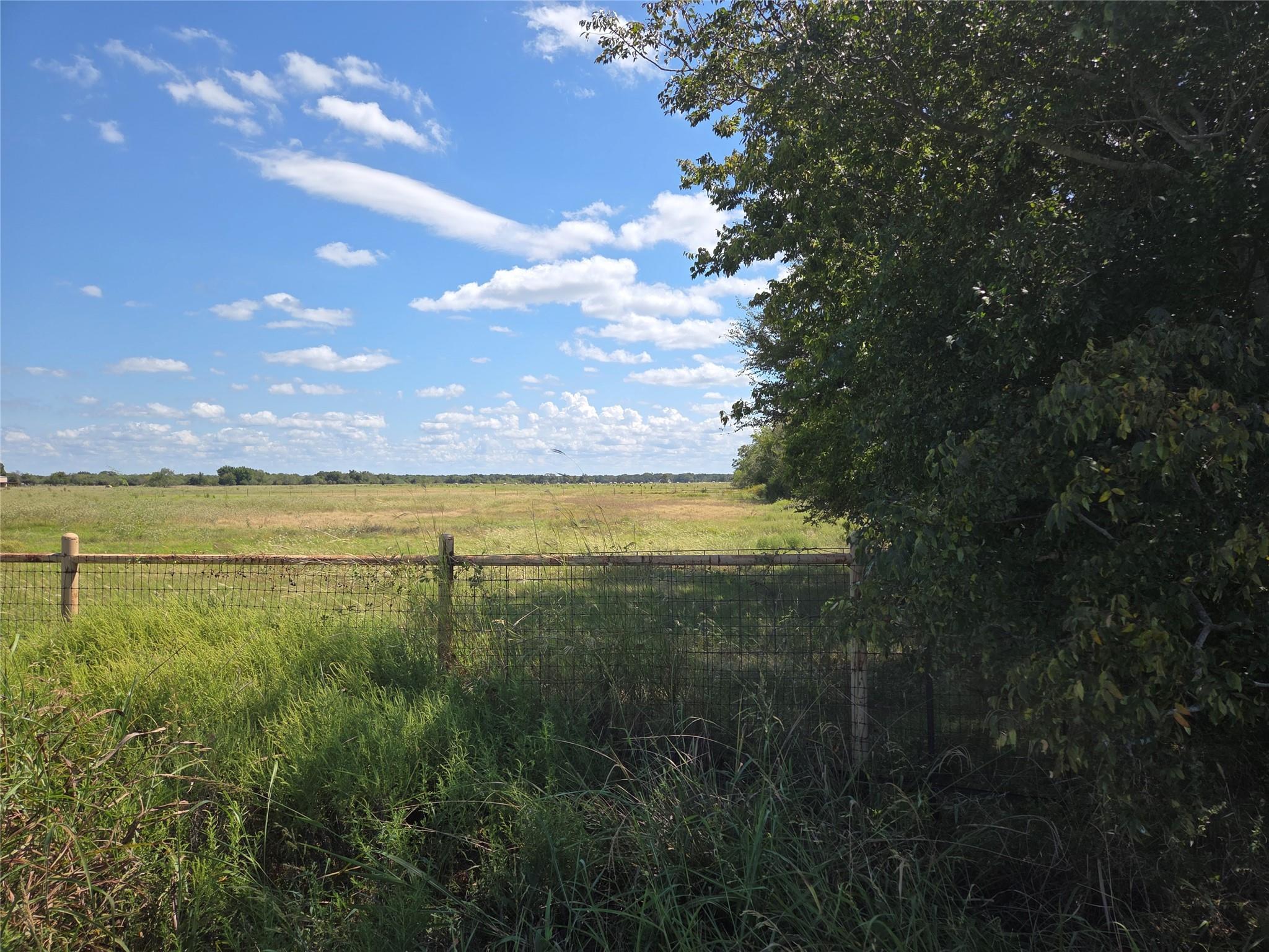 main property photo 39