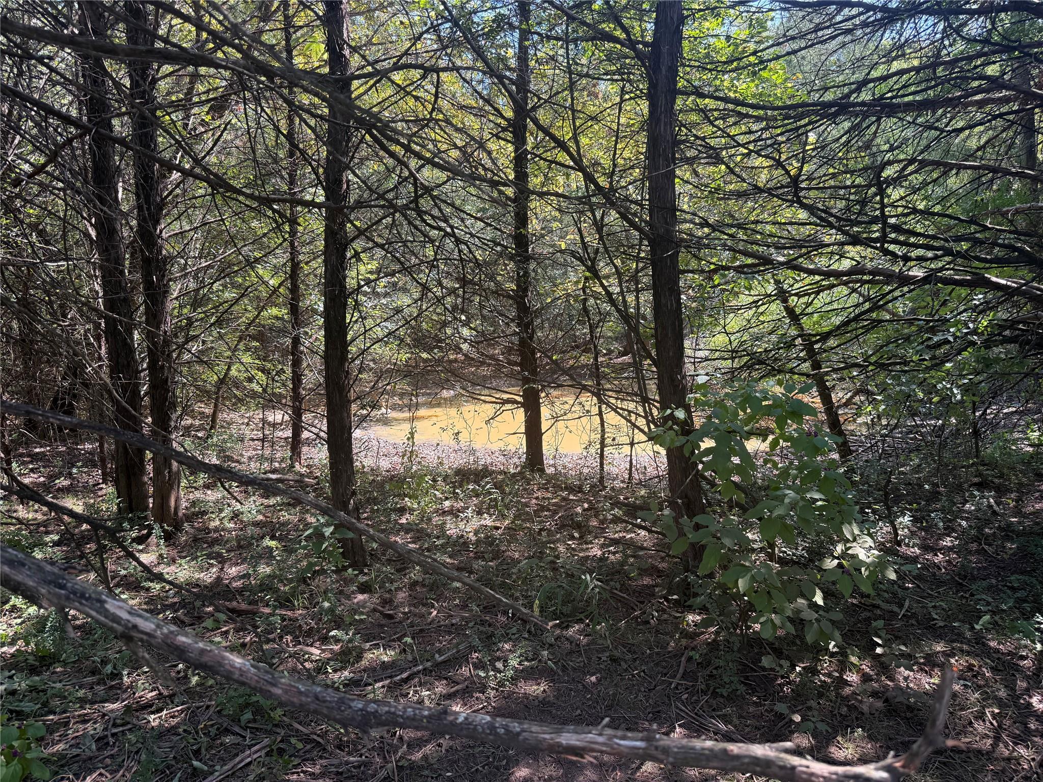 main property photo 30