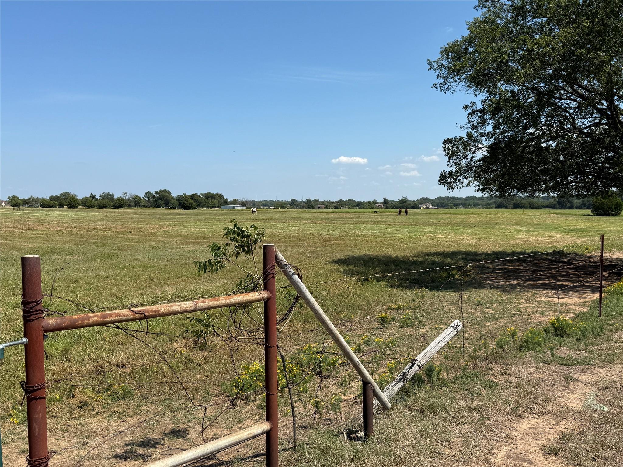 main property photo 39