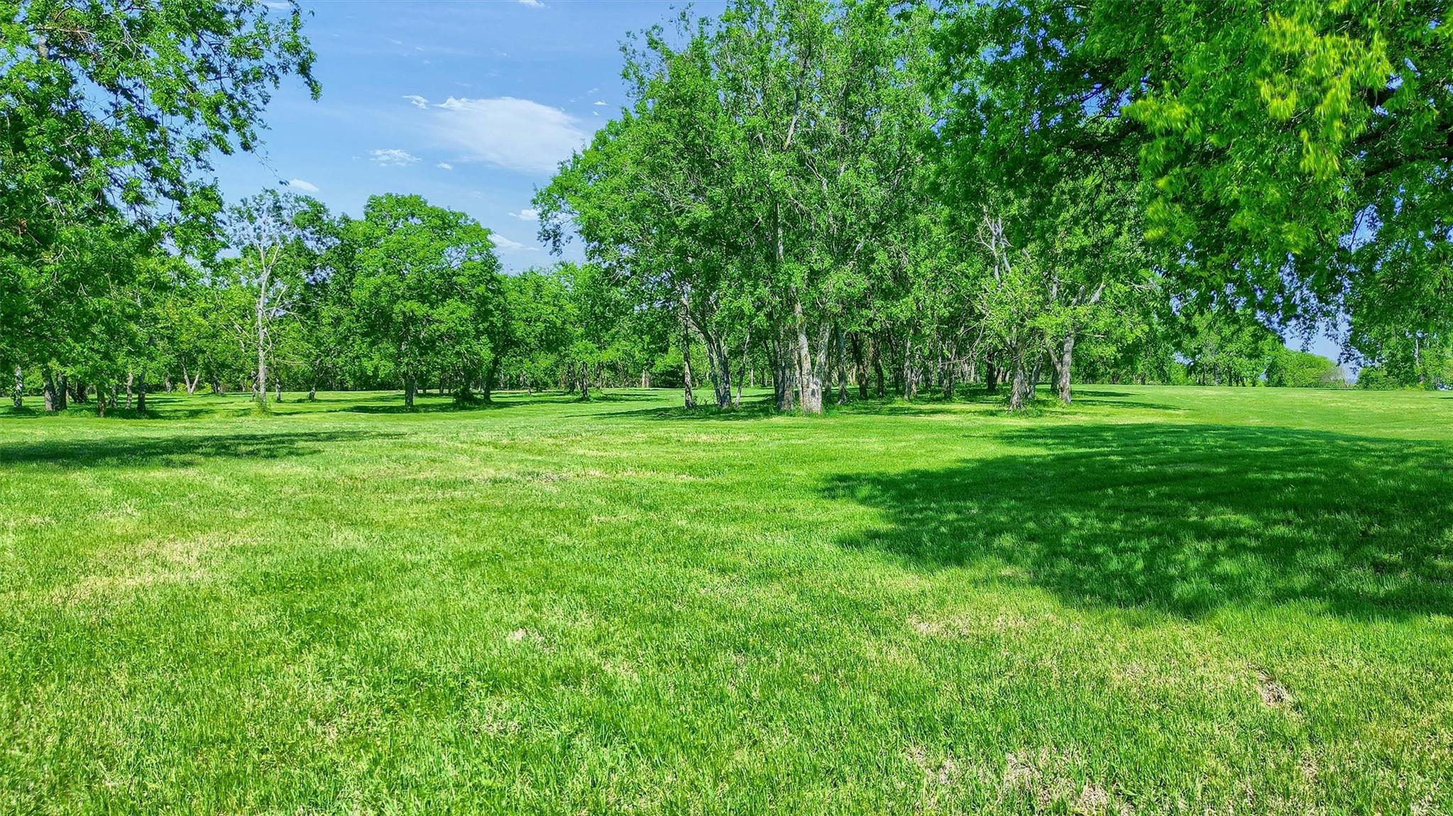 main property photo 20