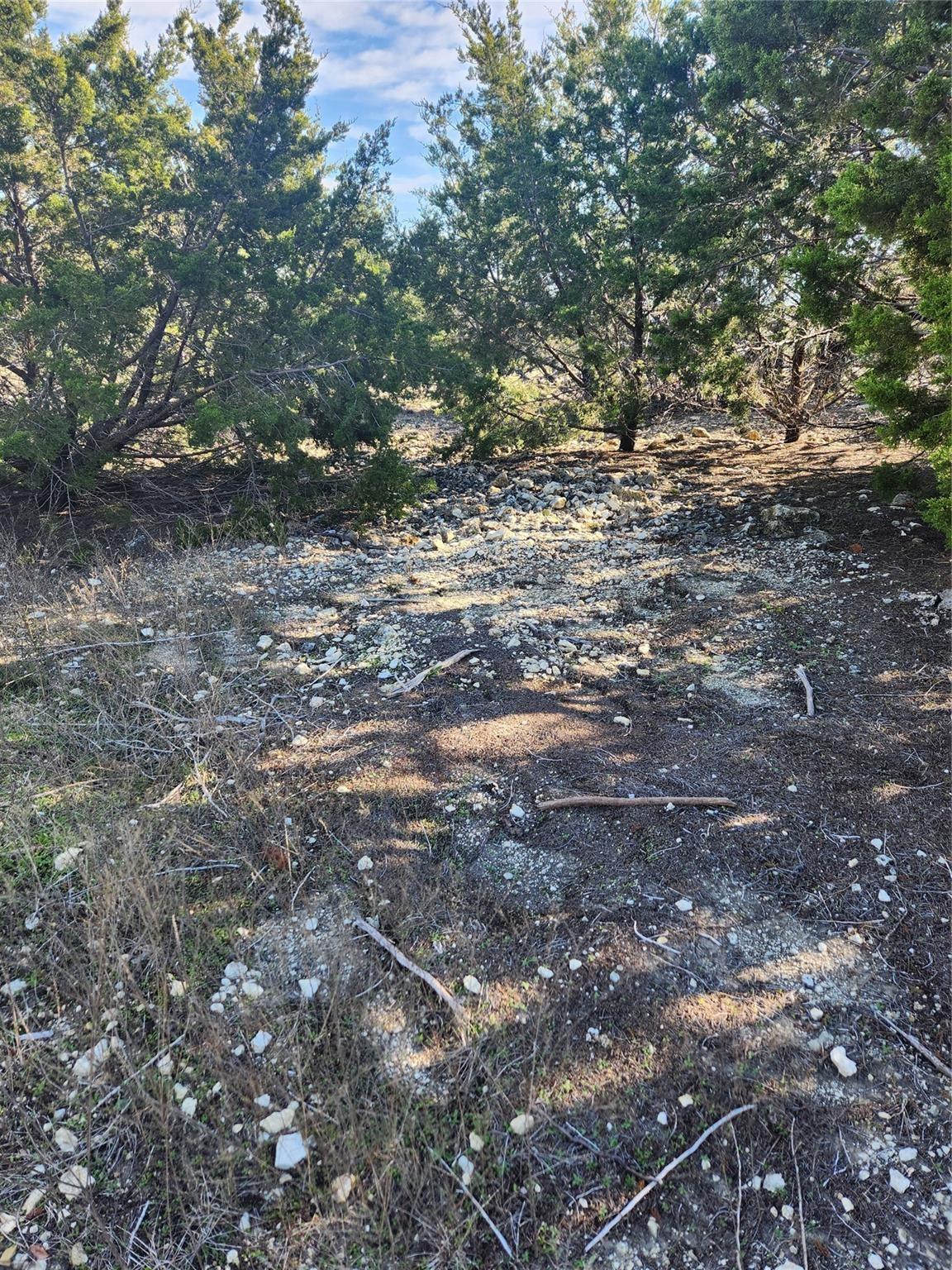 main property photo 19
