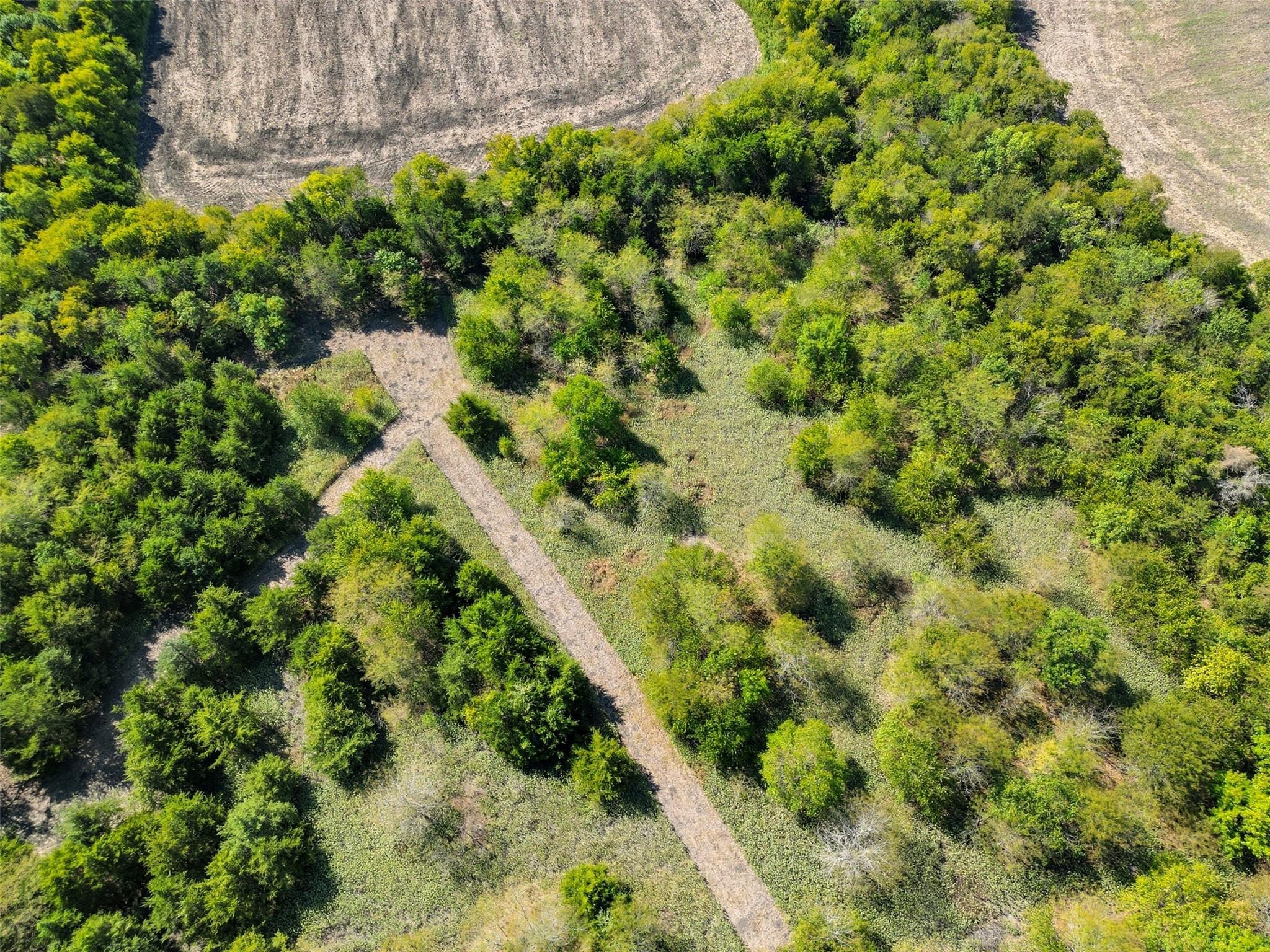 main property photo 11