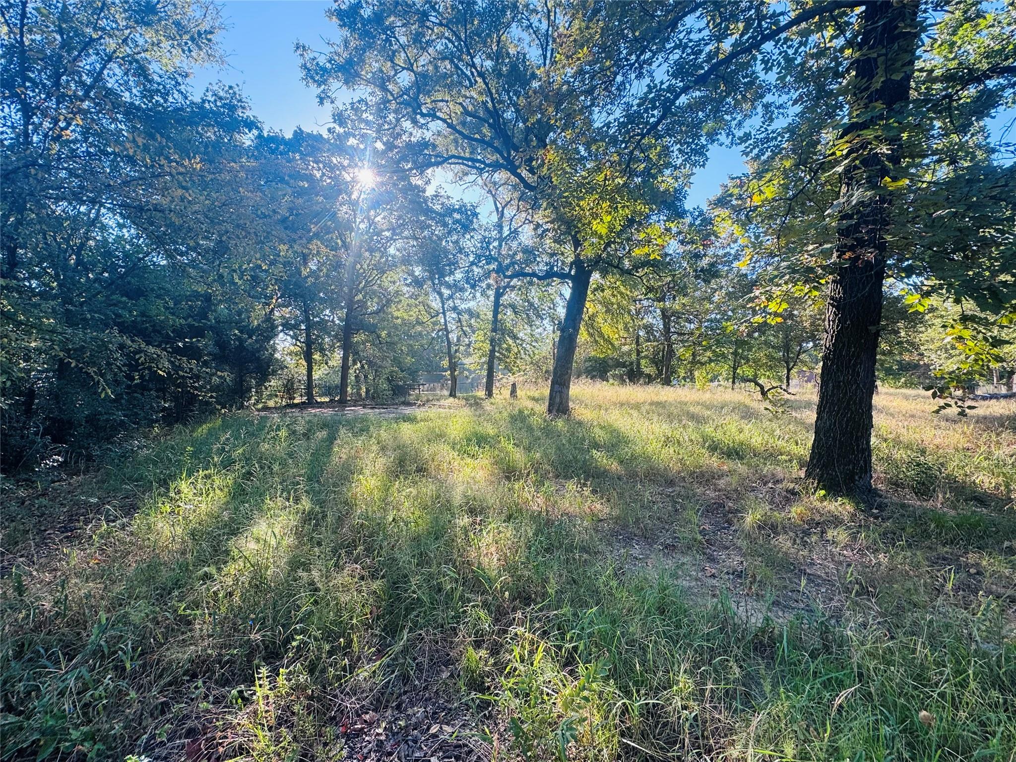 main property photo 6