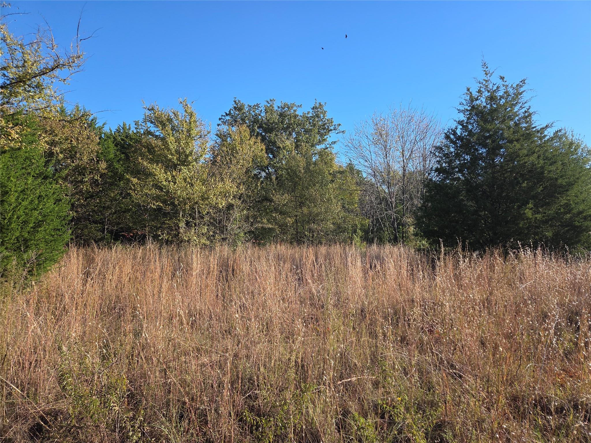main property photo 10