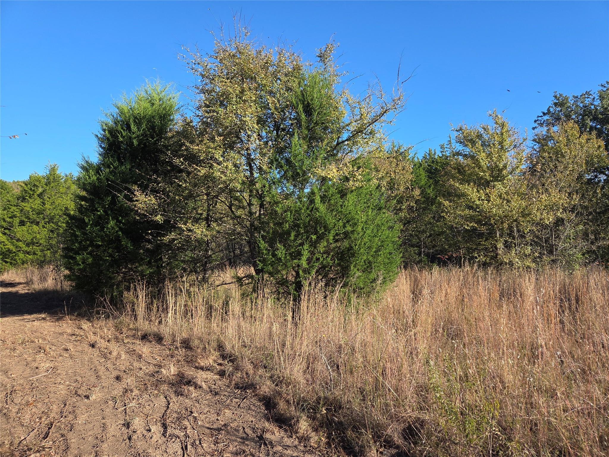 main property photo 11