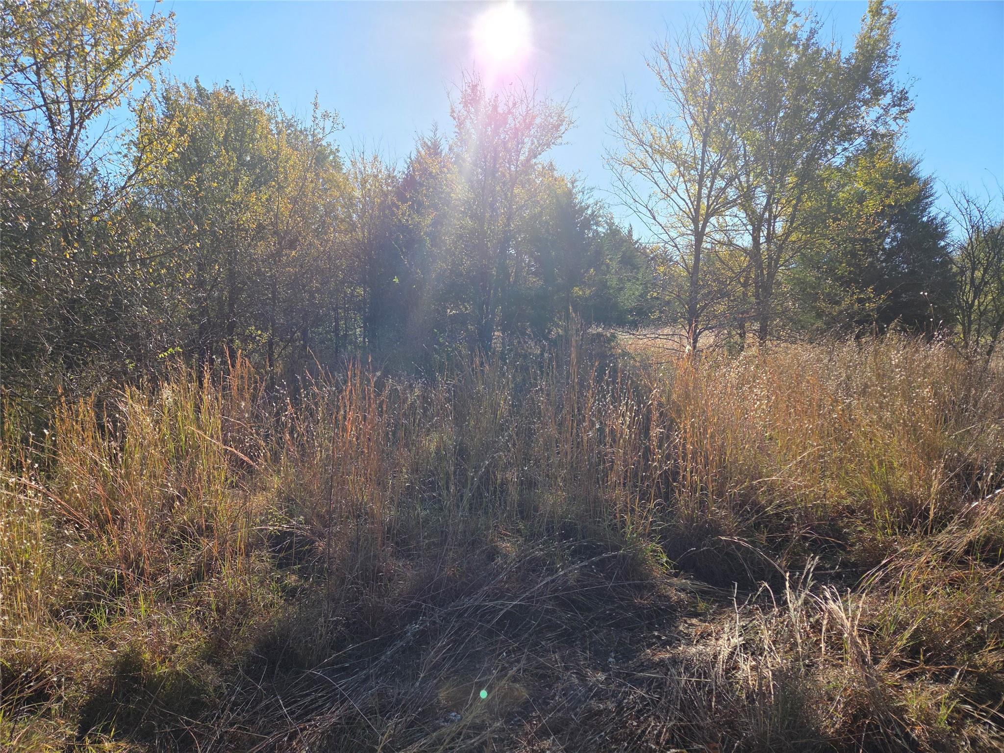 main property photo 12