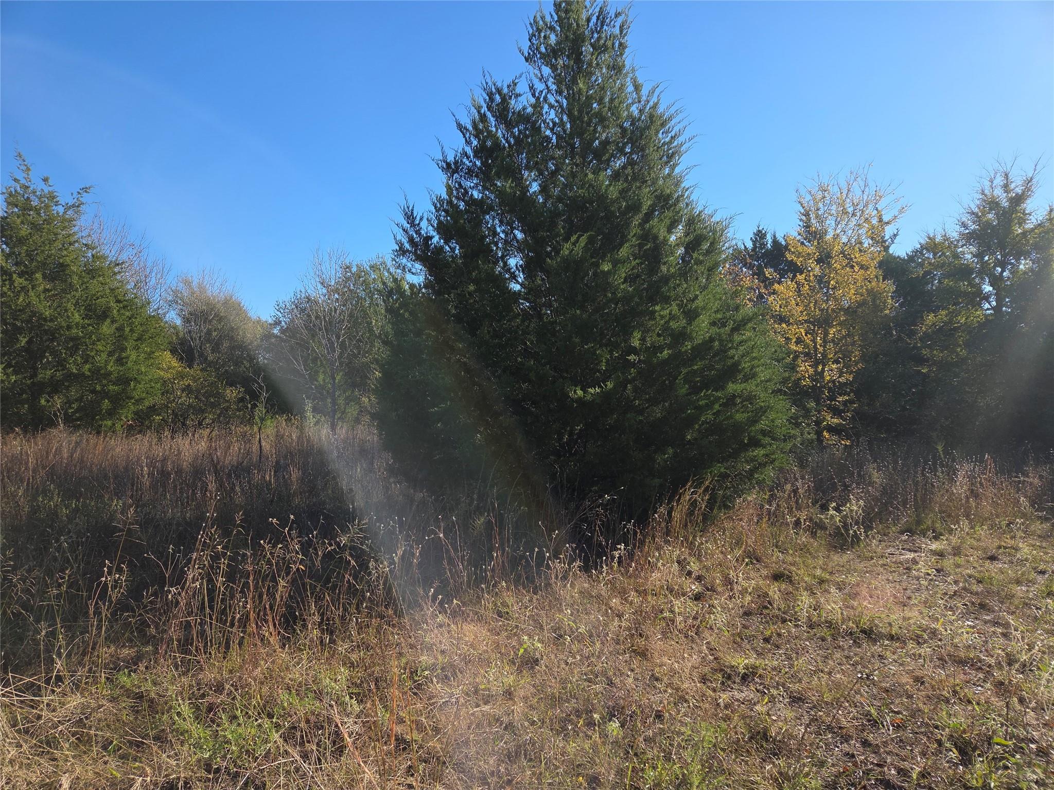 main property photo 21
