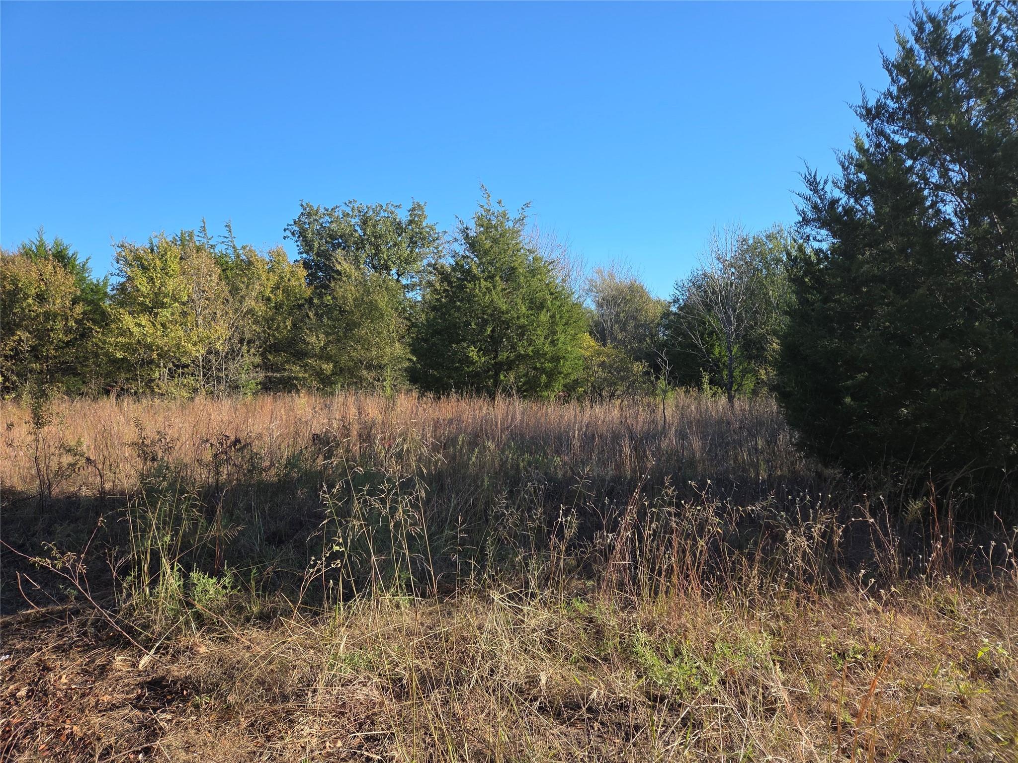 main property photo 8