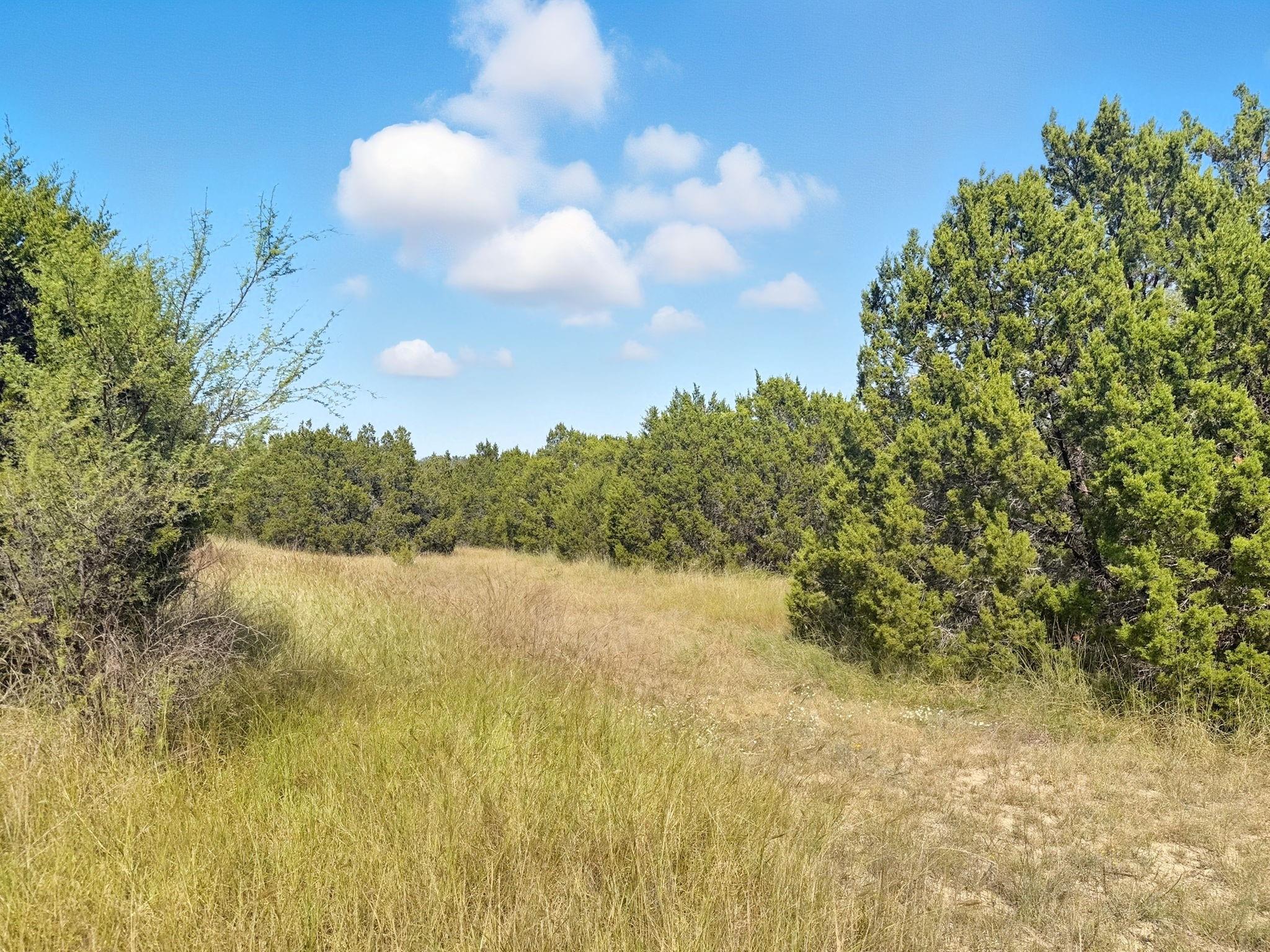 main property photo 11