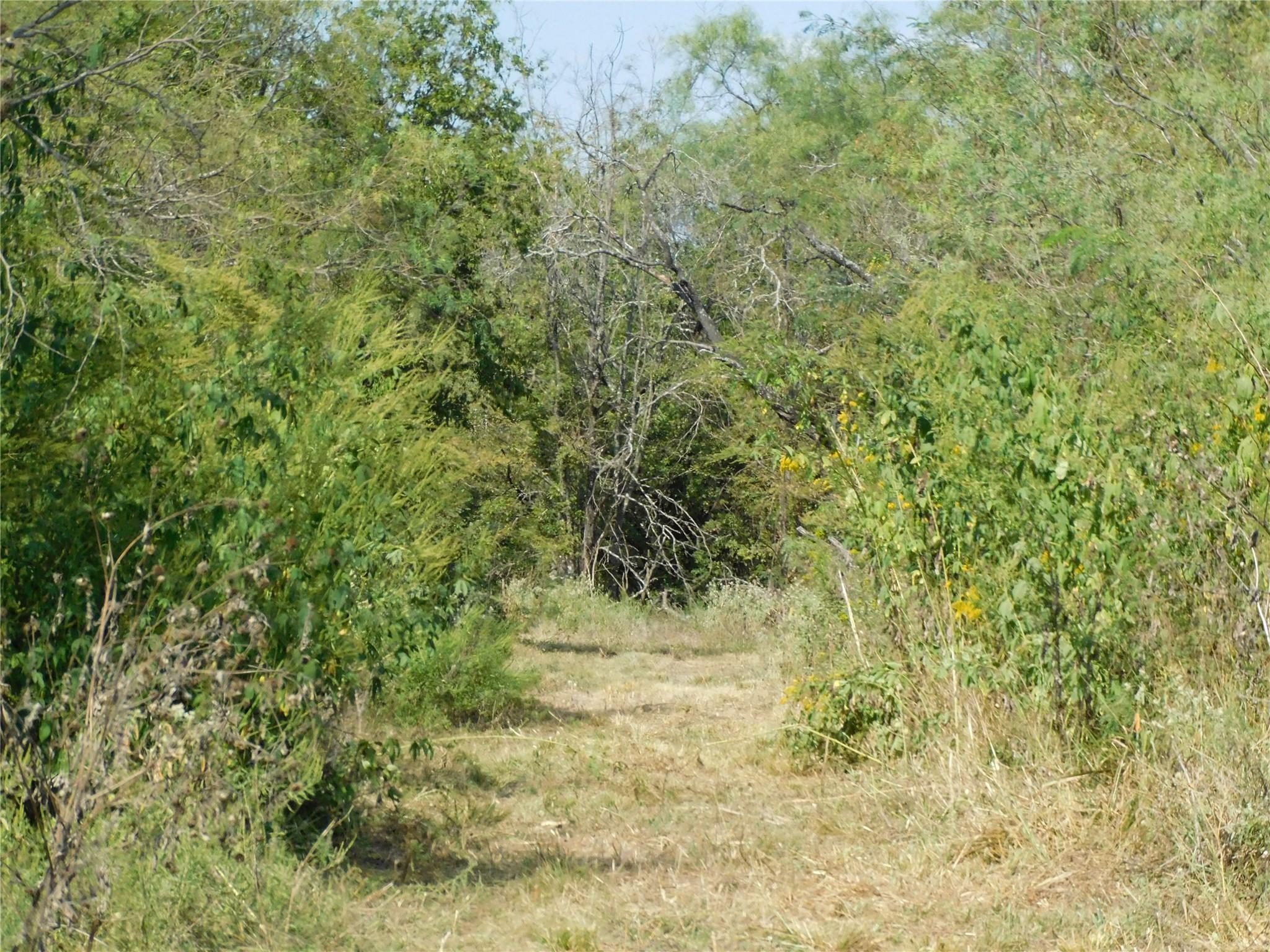 main property photo 13