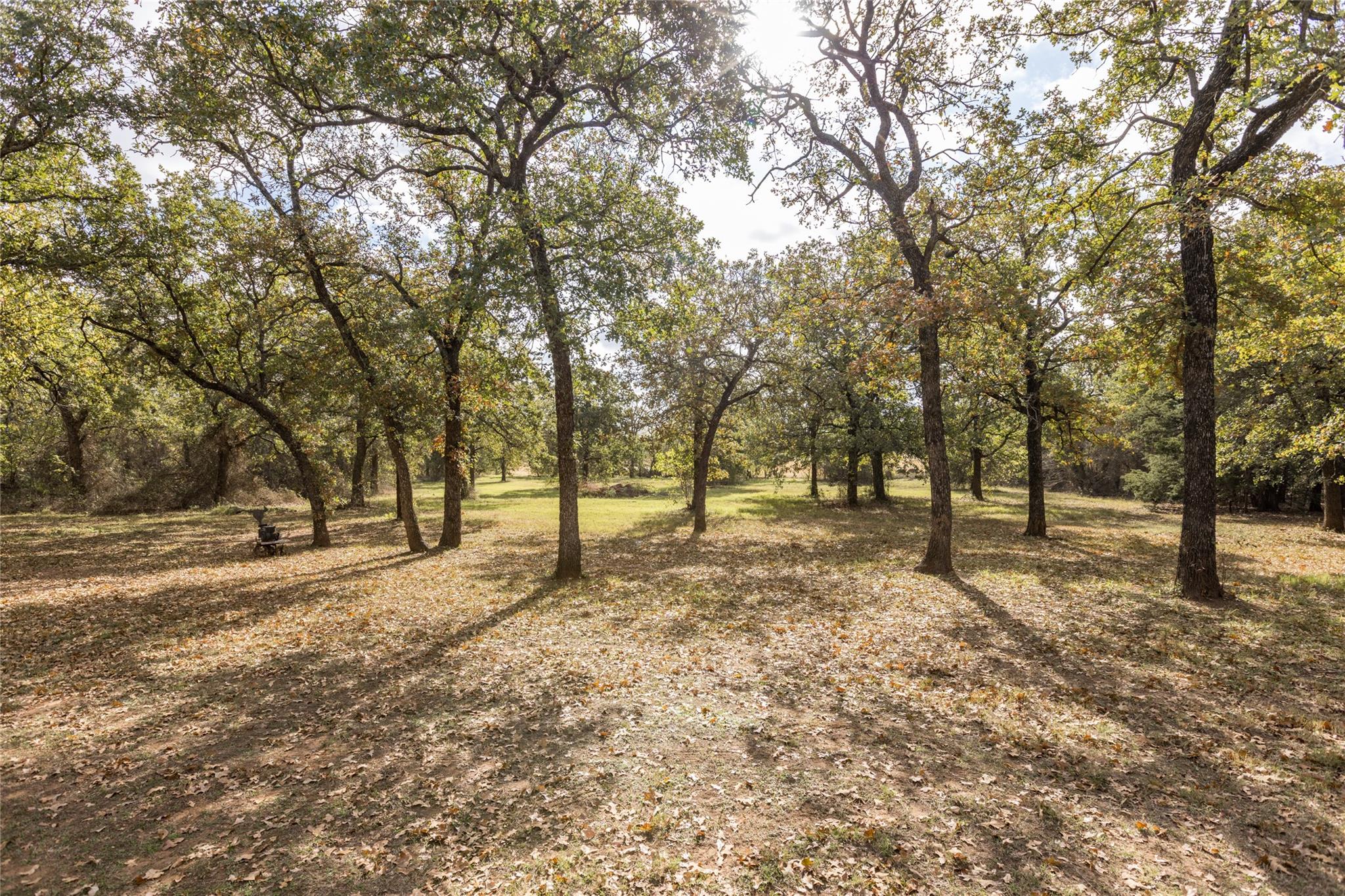 main property photo 11