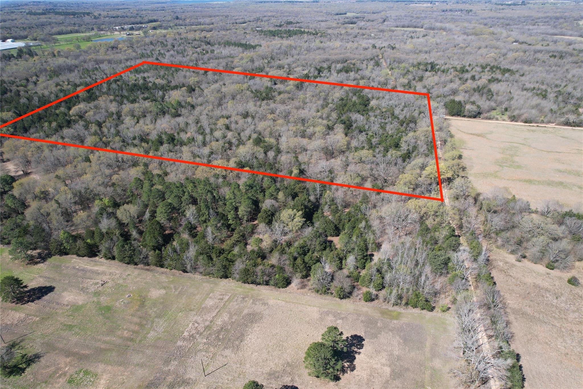 main property photo 10