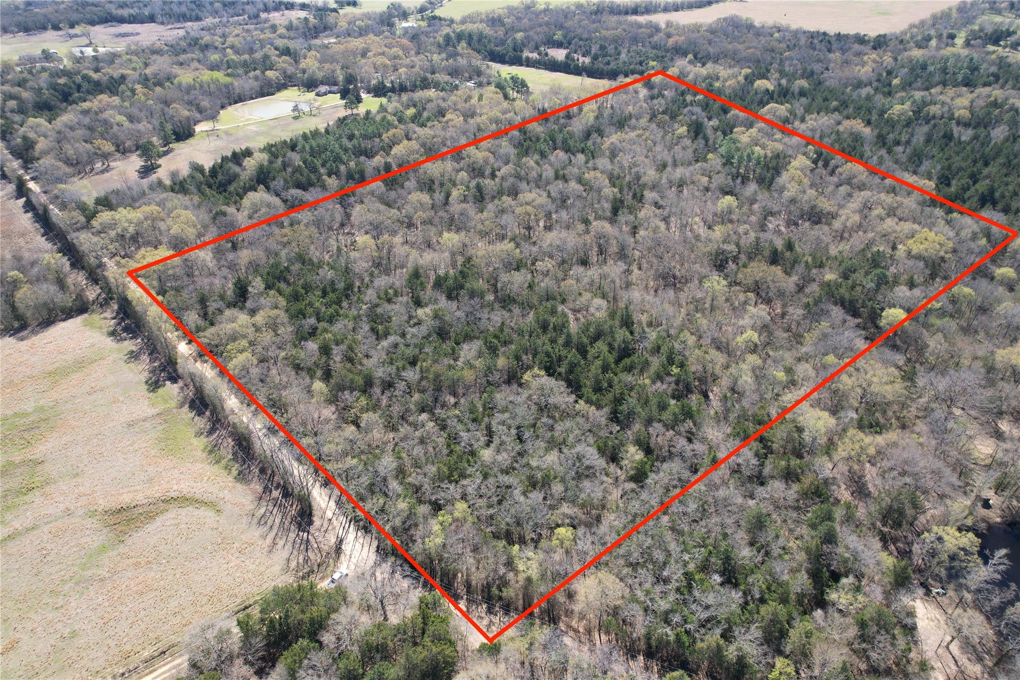 main property photo 26