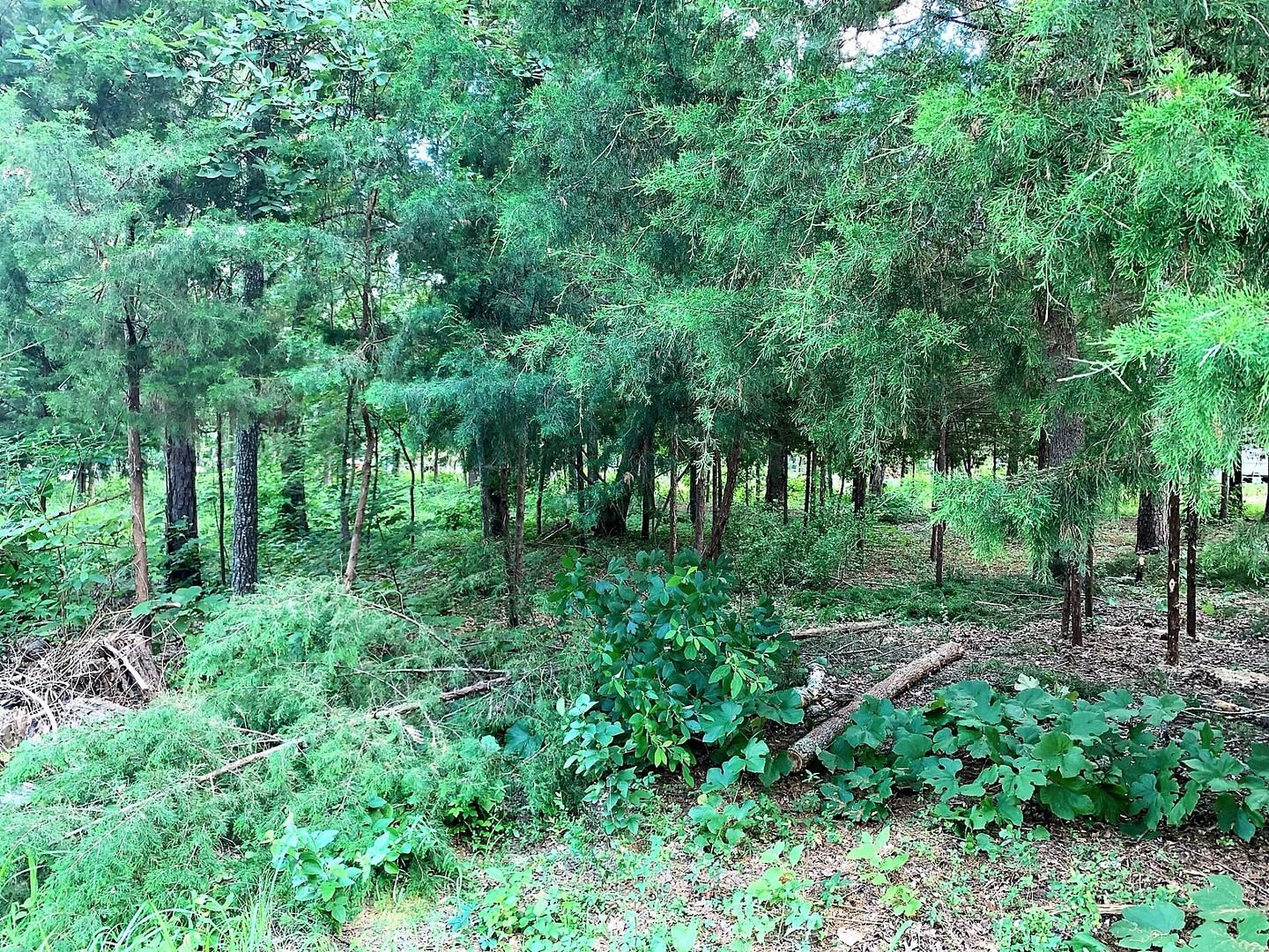 main property photo 8