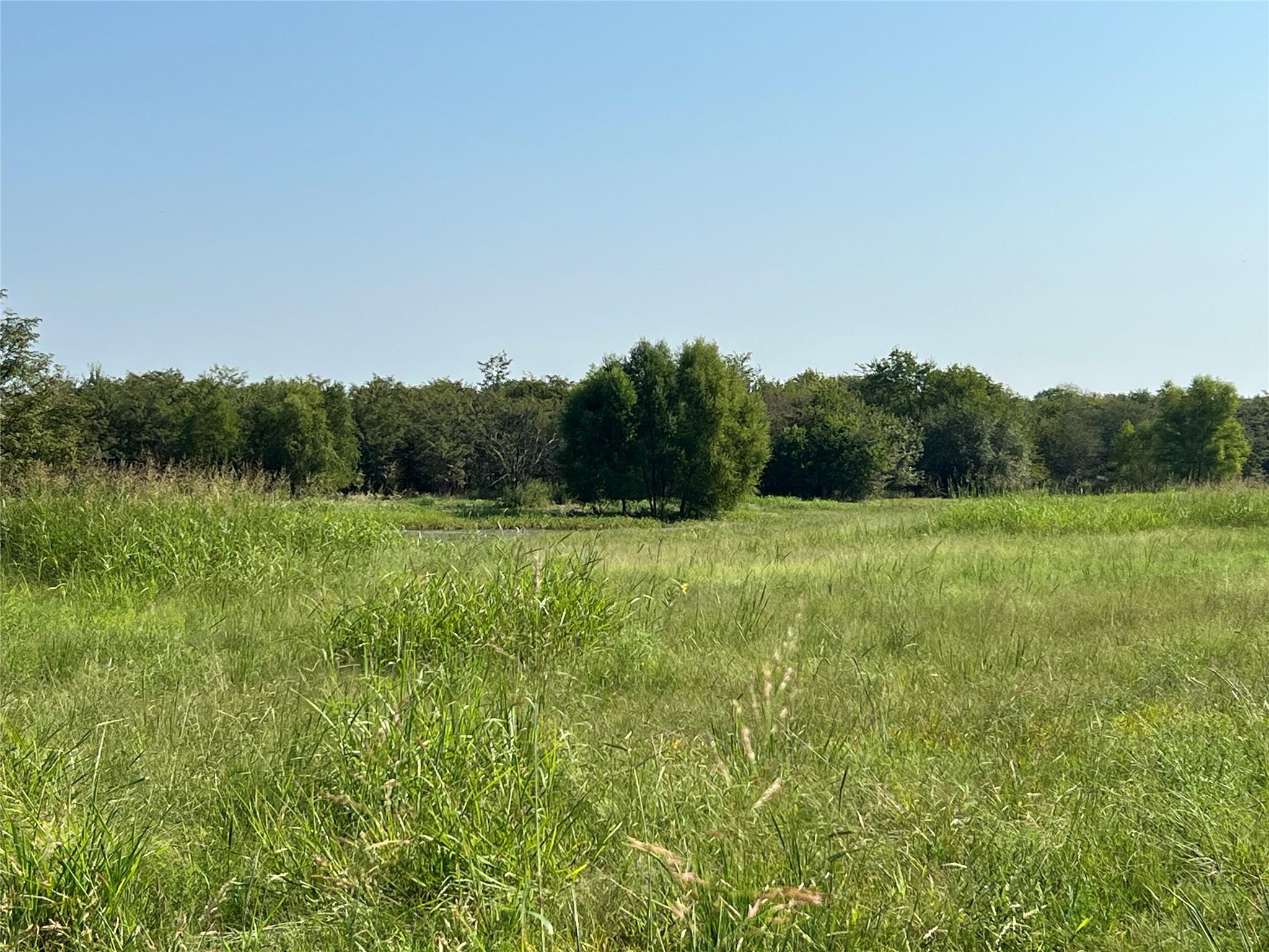 main property photo 11