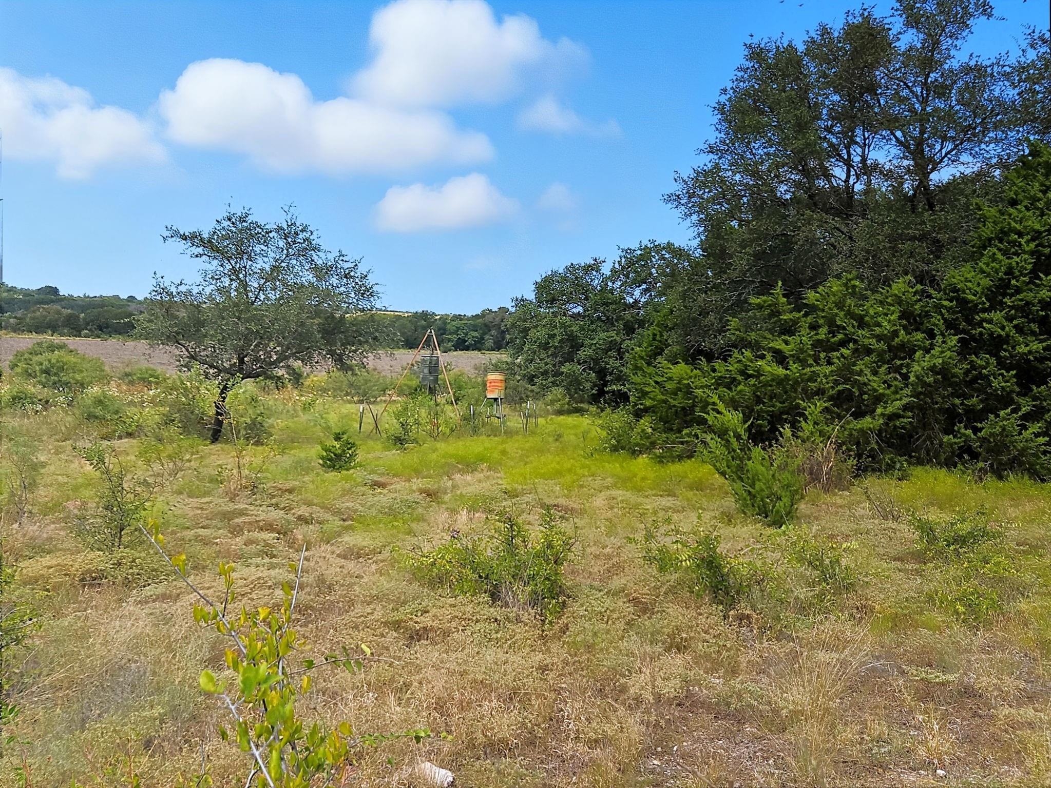 main property photo 34