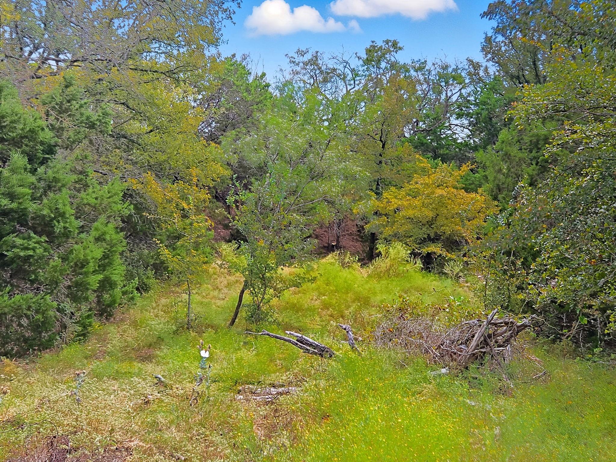 main property photo 8