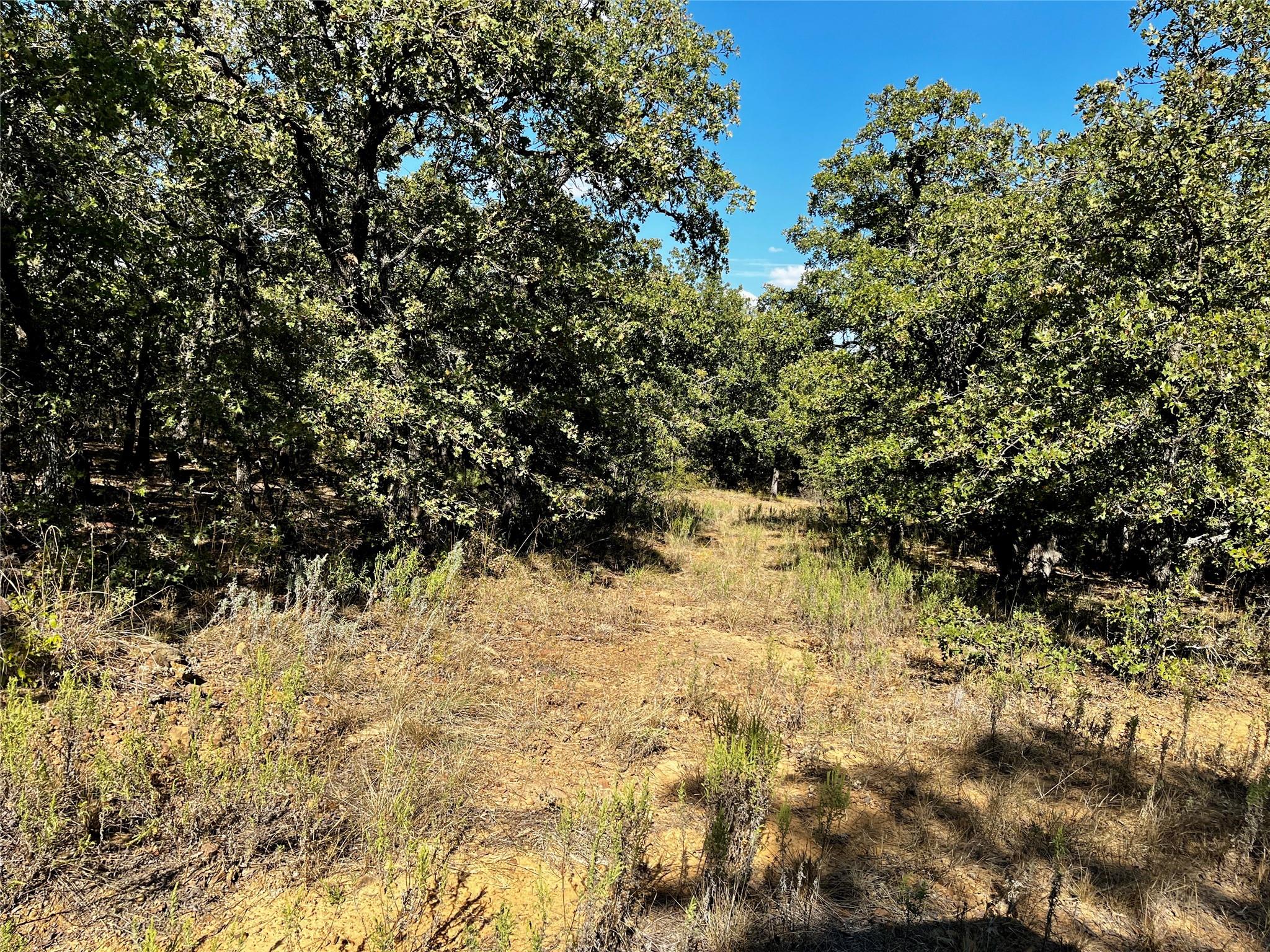 main property photo 10