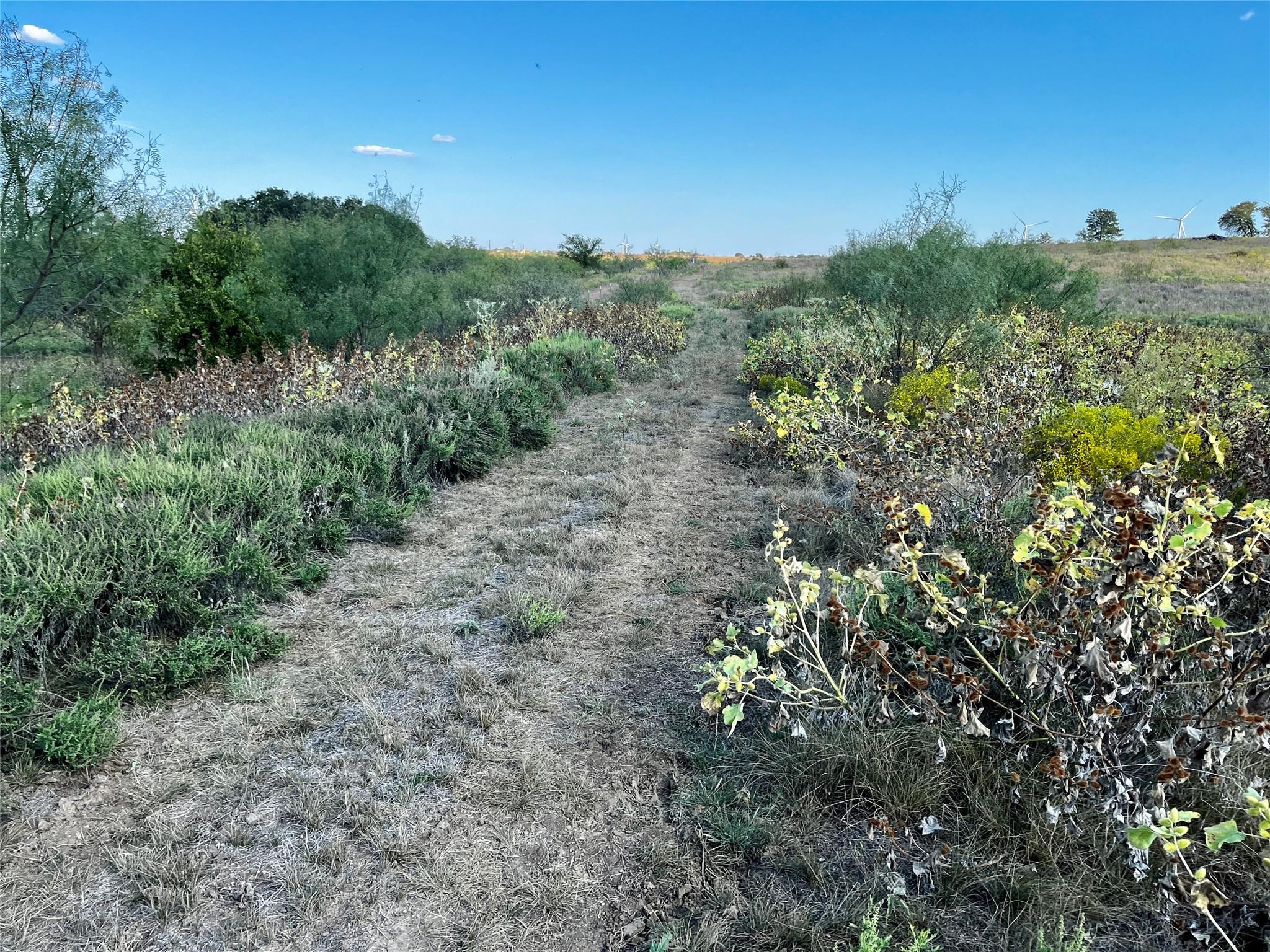 main property photo 21