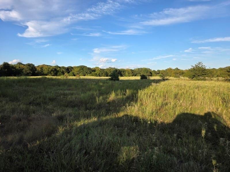 main property photo 16