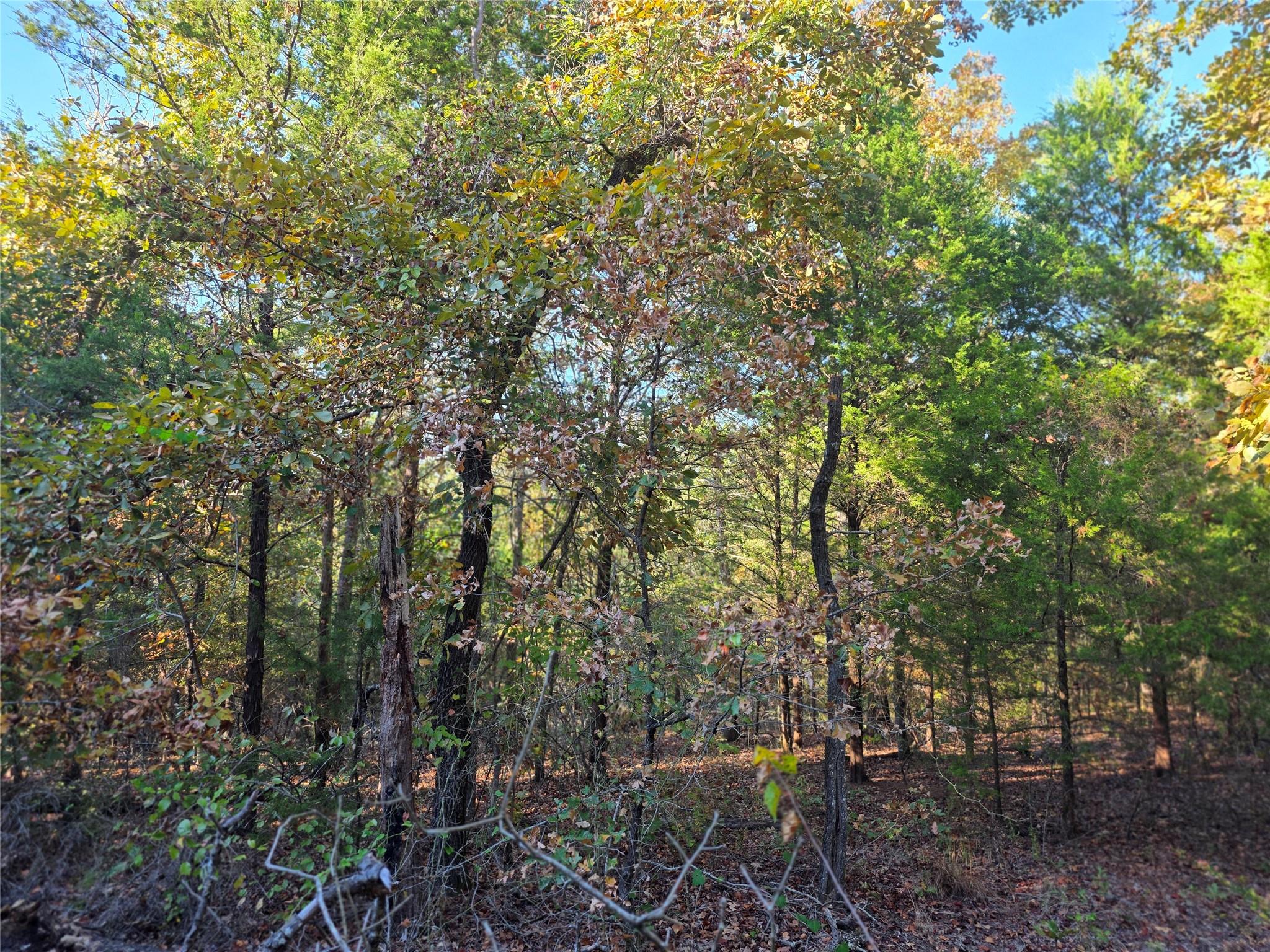 main property photo 11