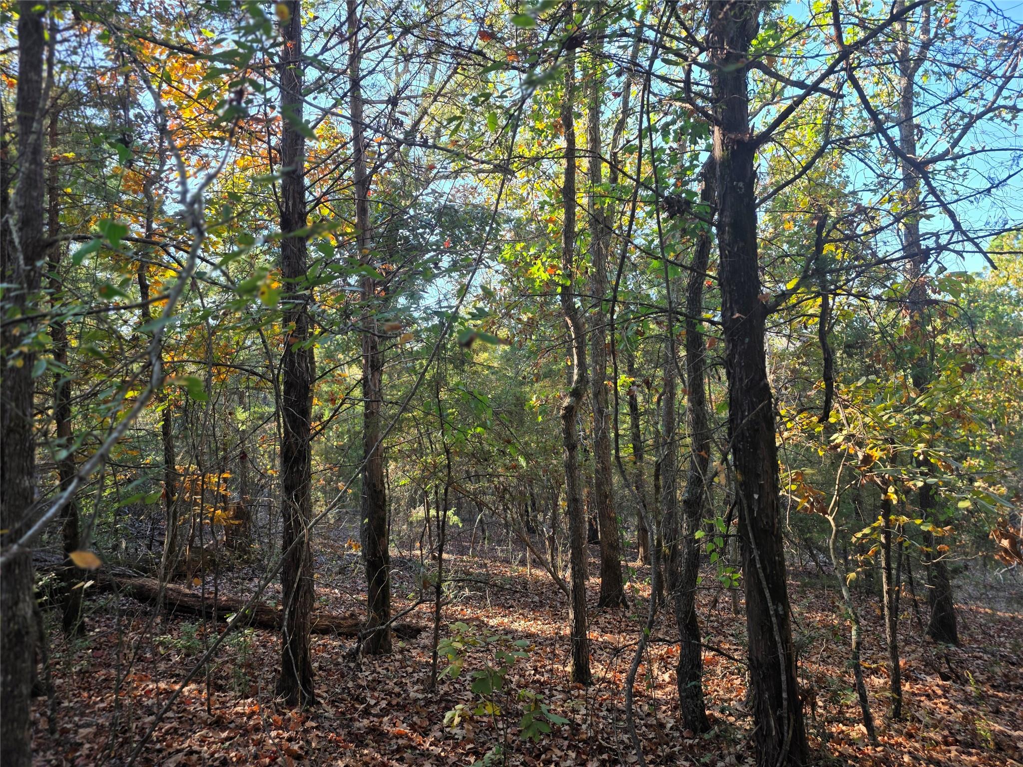 main property photo 13