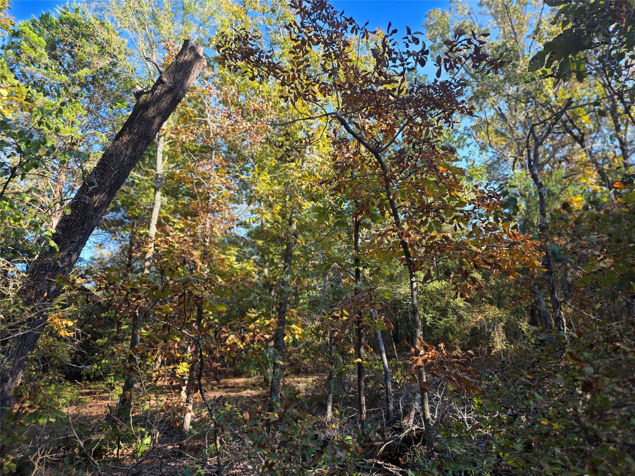 main property photo 16
