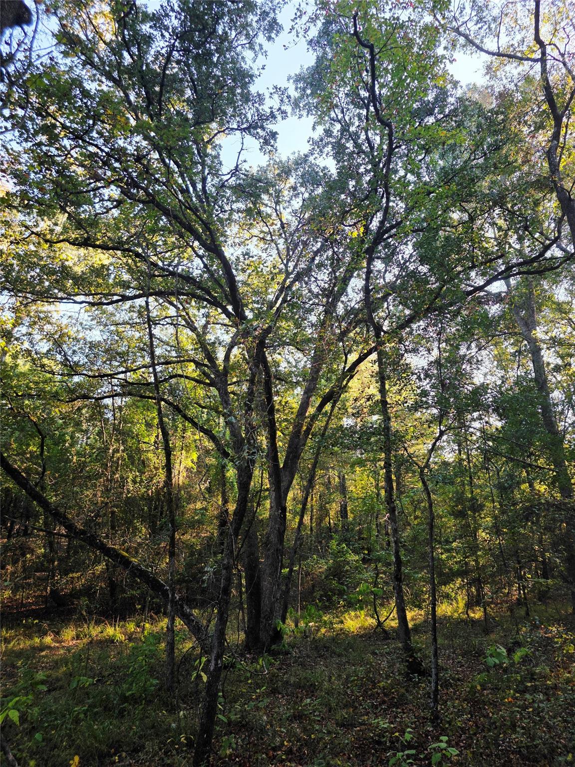 main property photo 21