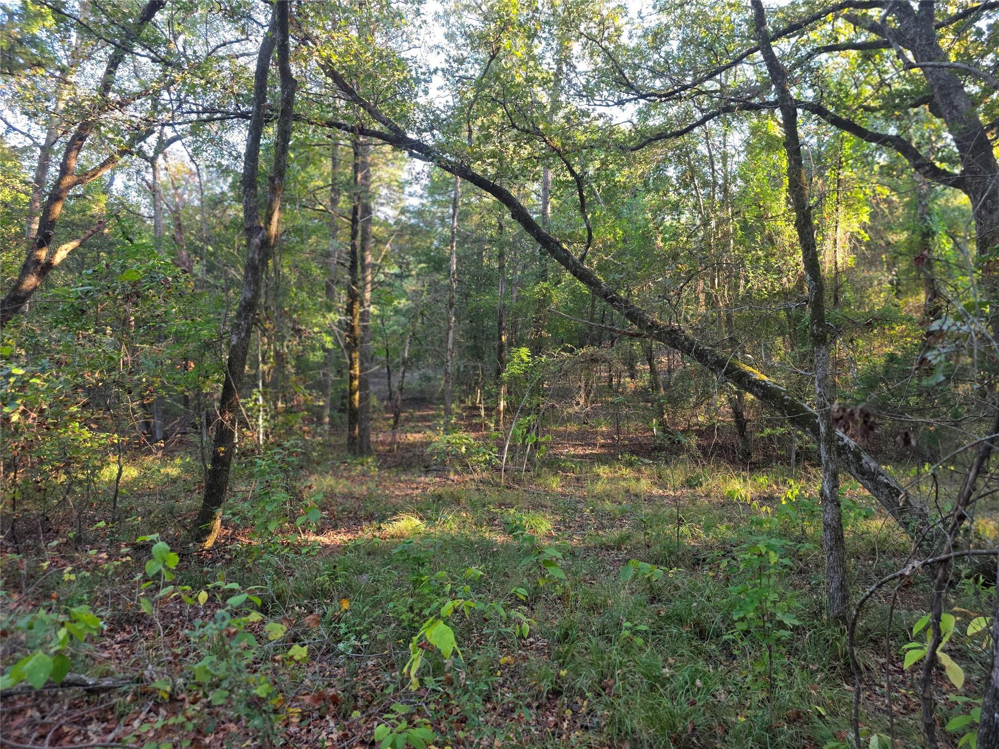 main property photo 23