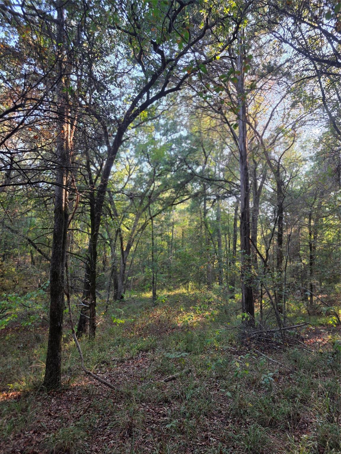 main property photo 35