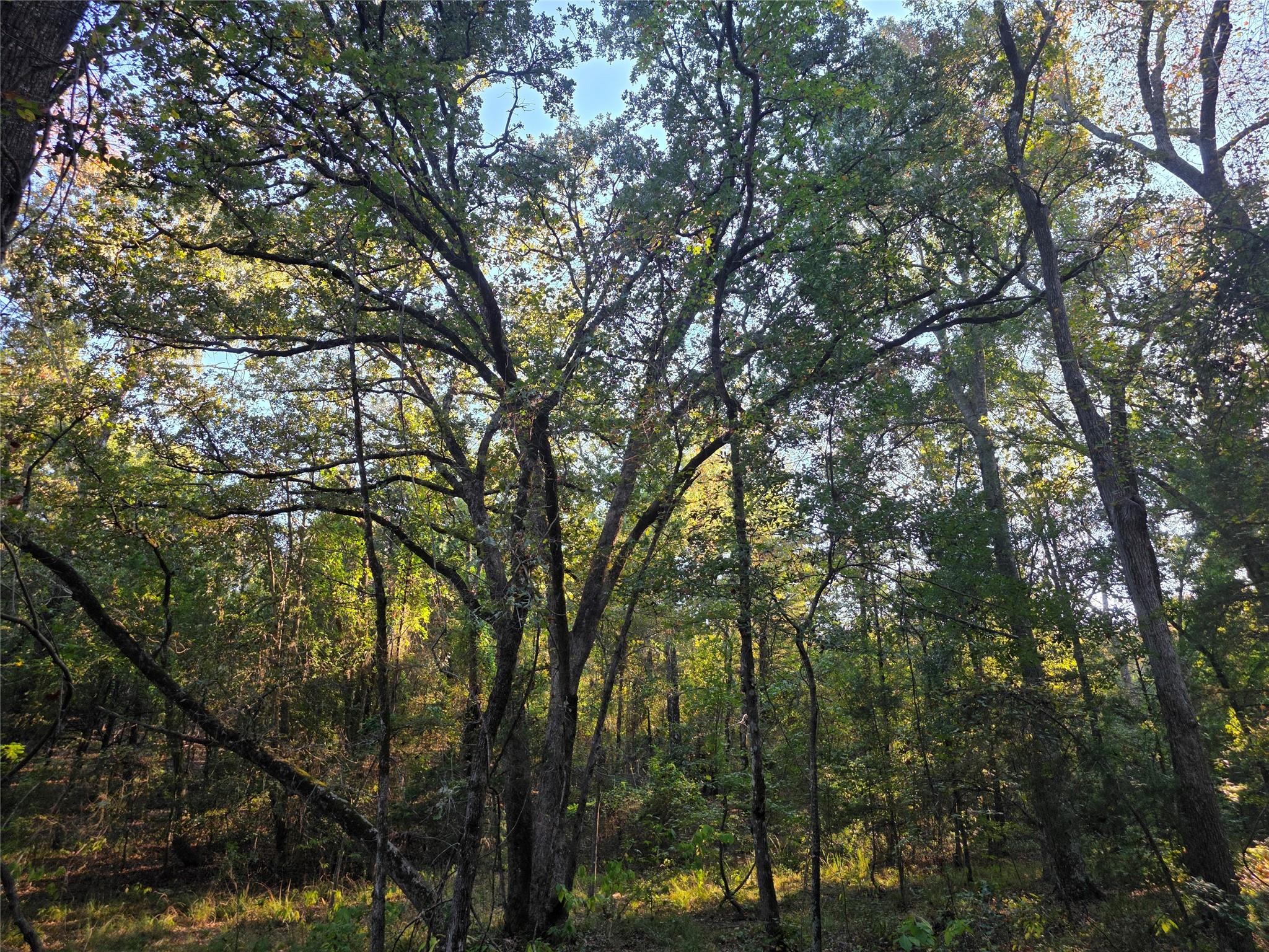 main property photo 37