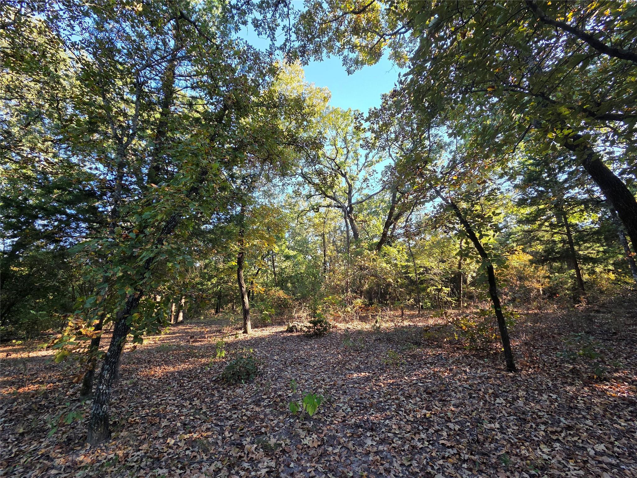 main property photo 6