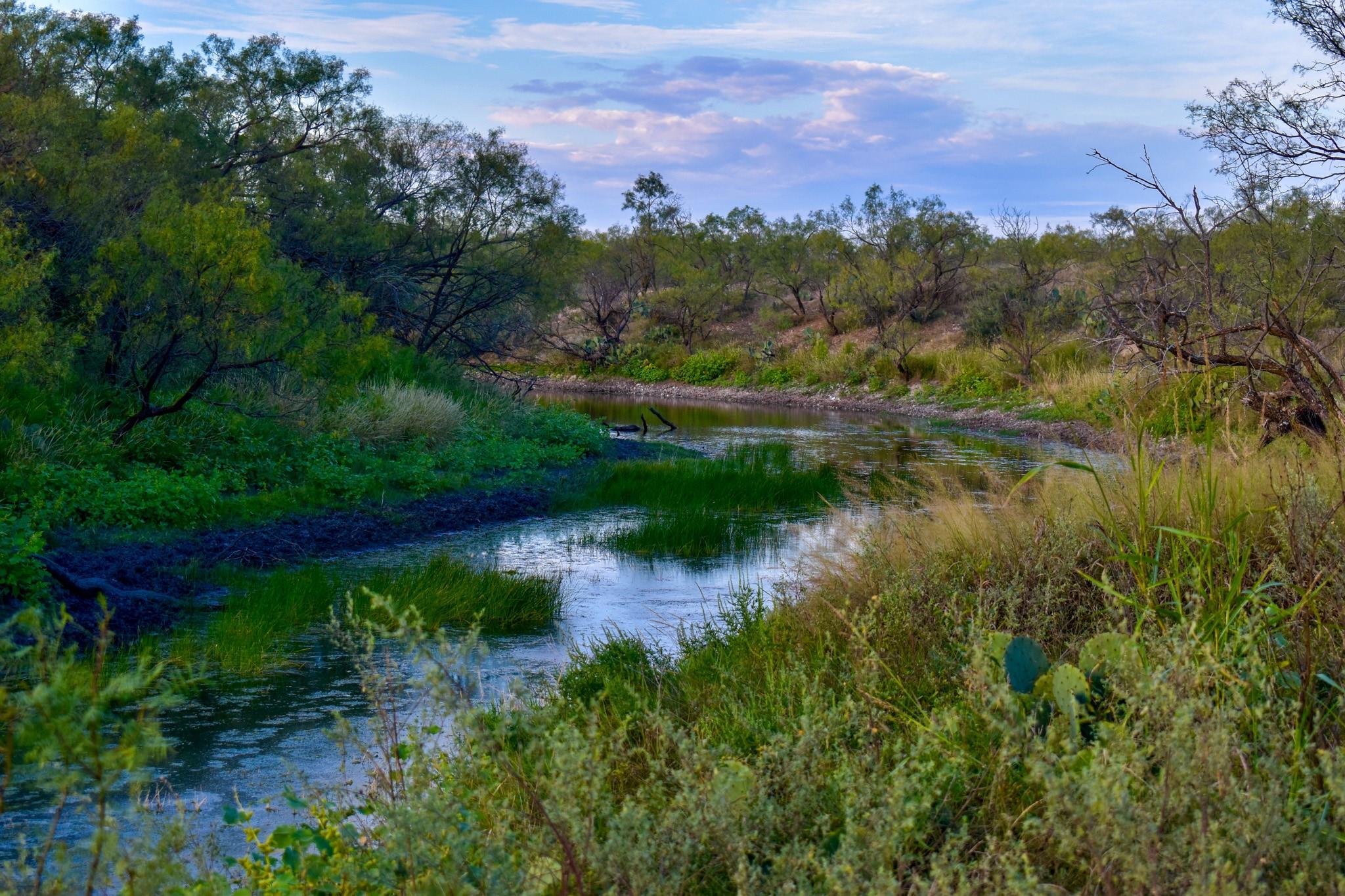 main property photo 24