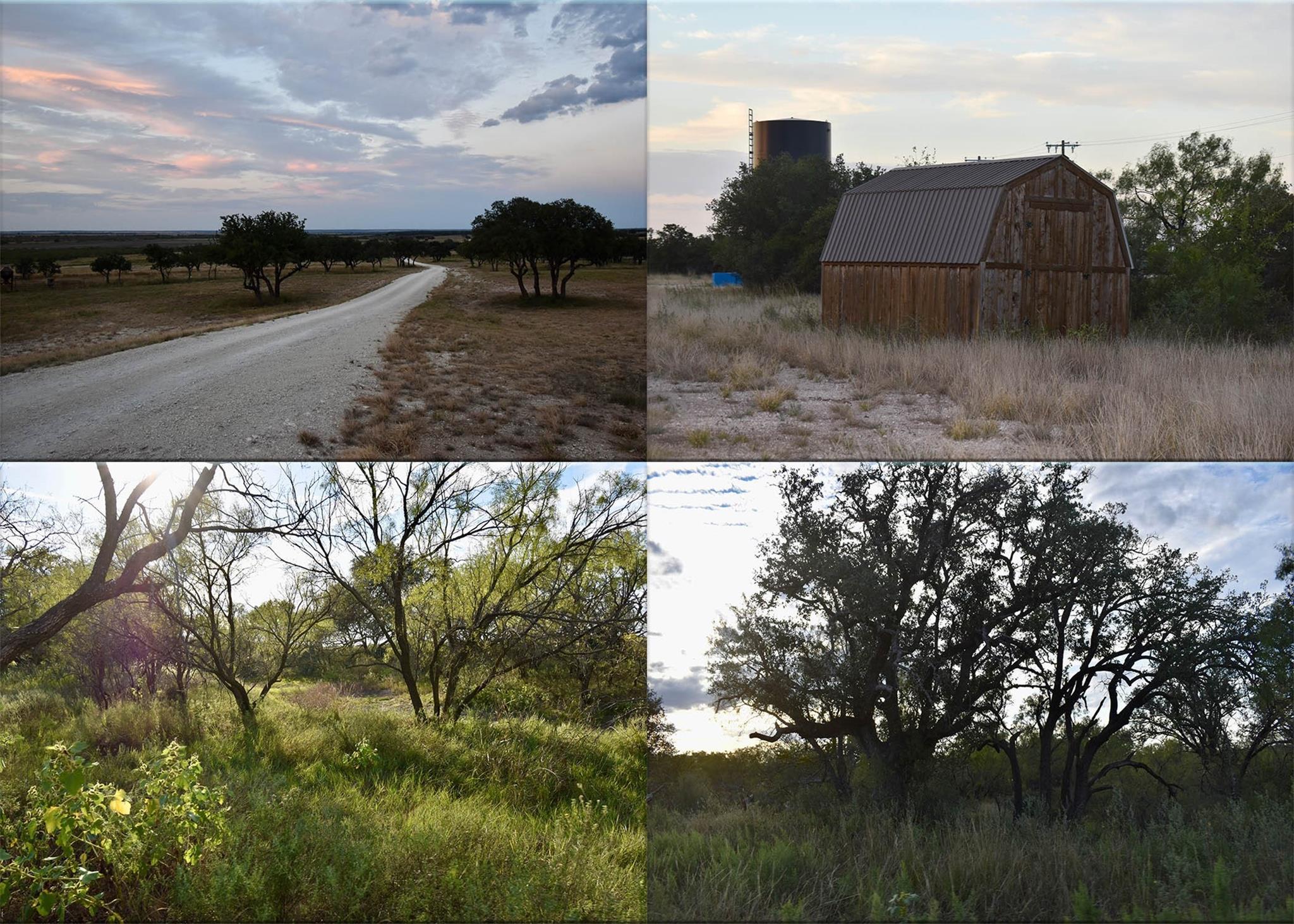 main property photo 39
